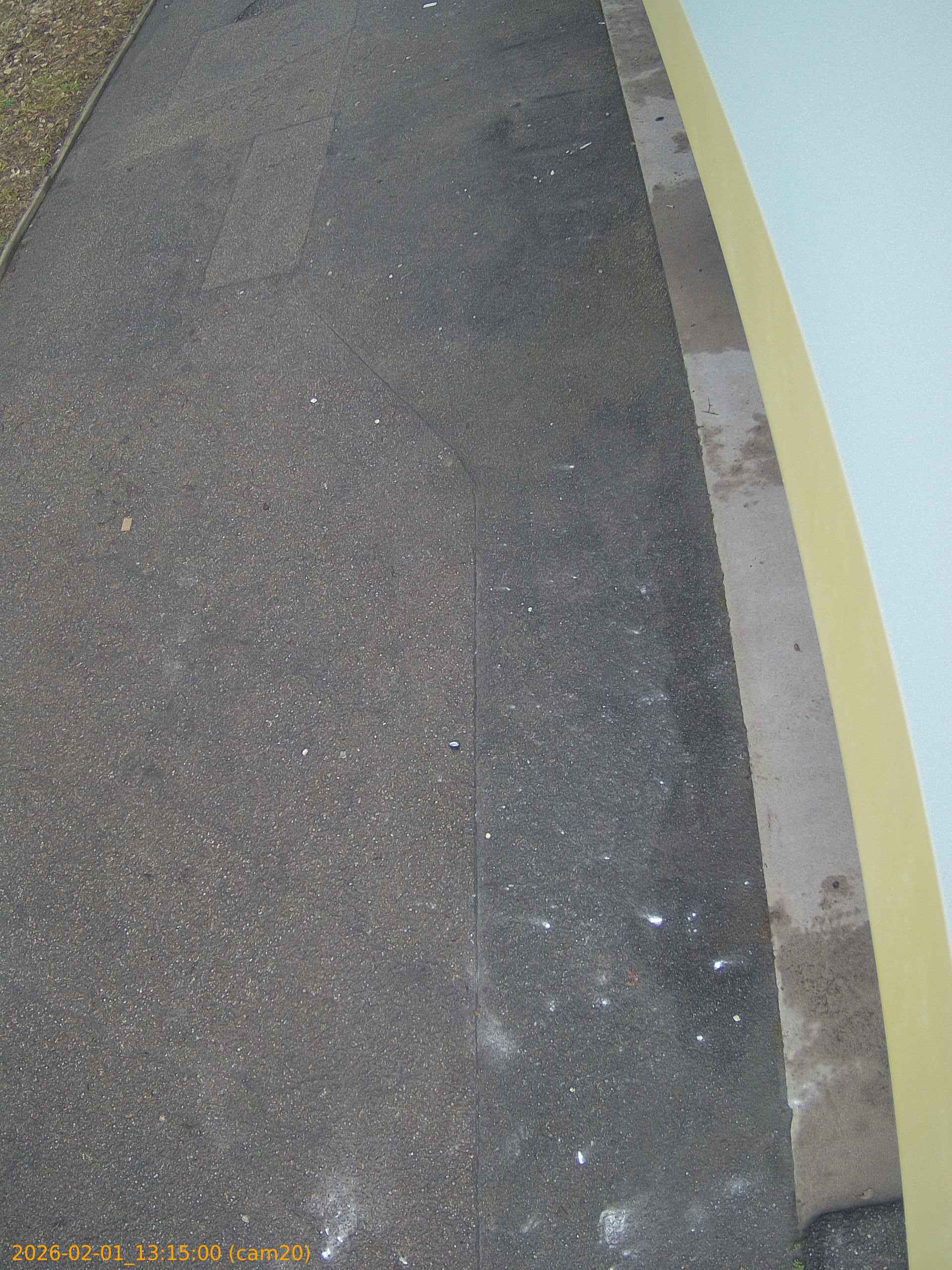 thumbnail_20260201131500