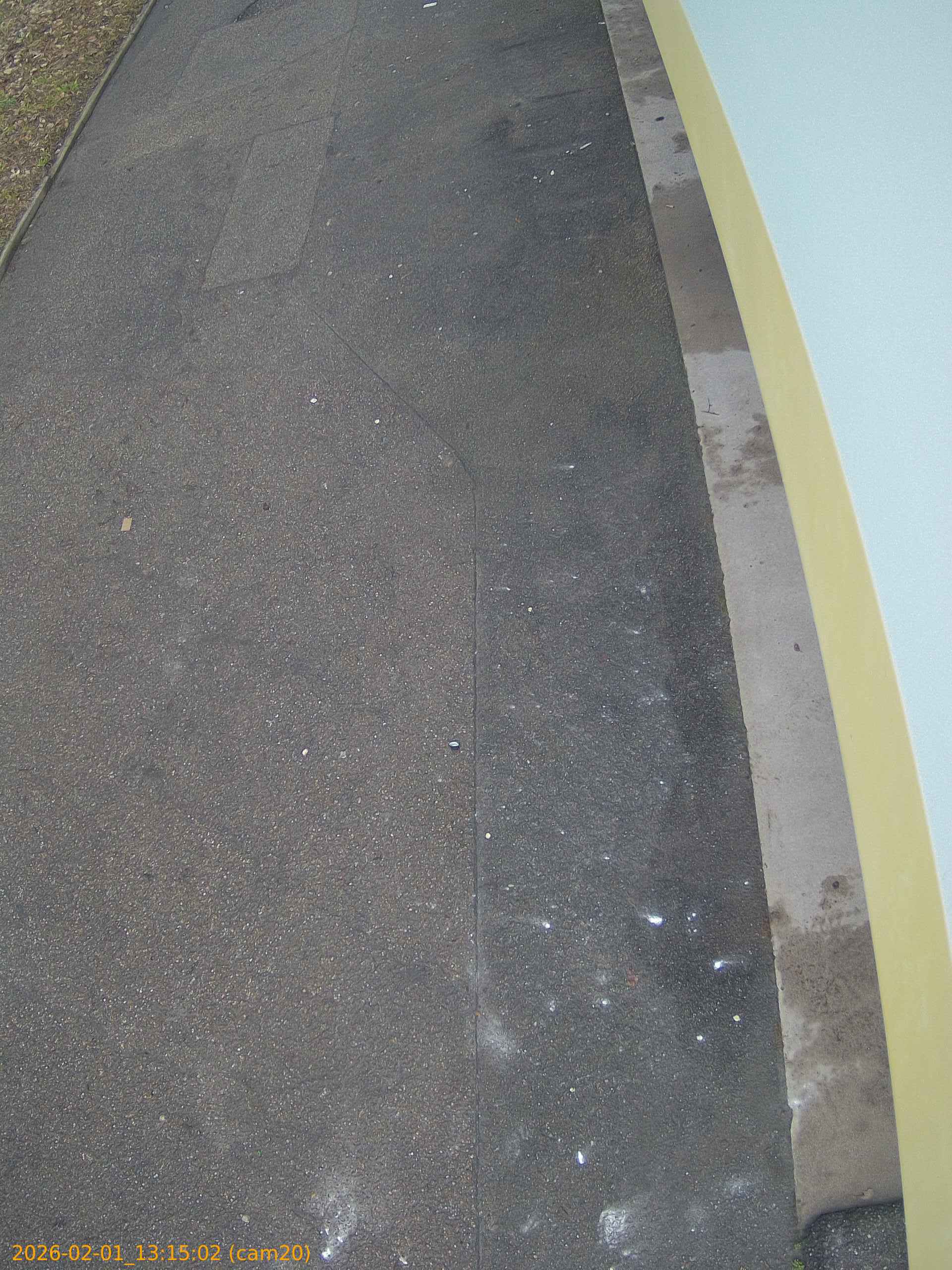 thumbnail_20260201131502