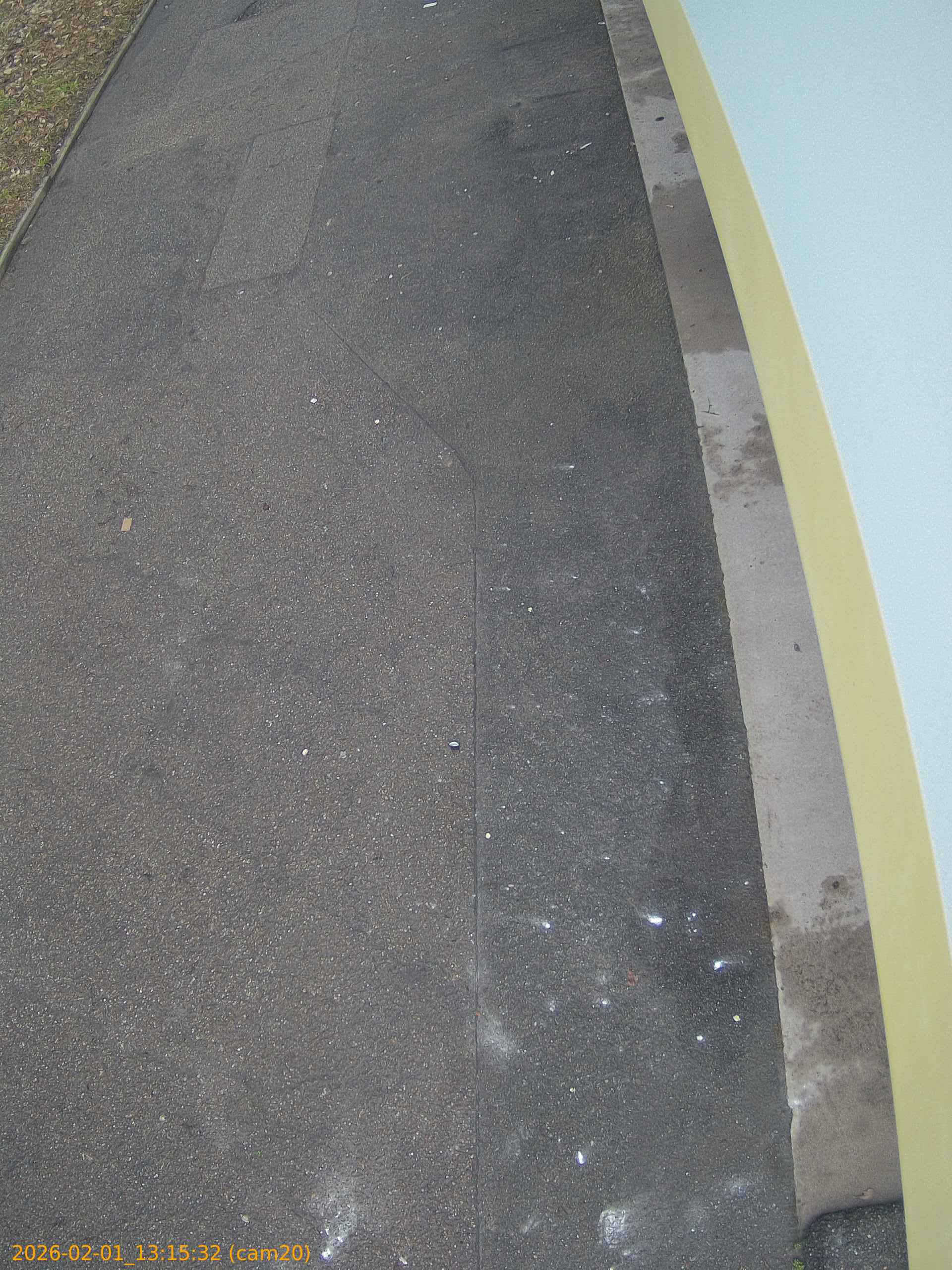 thumbnail_20260201131532