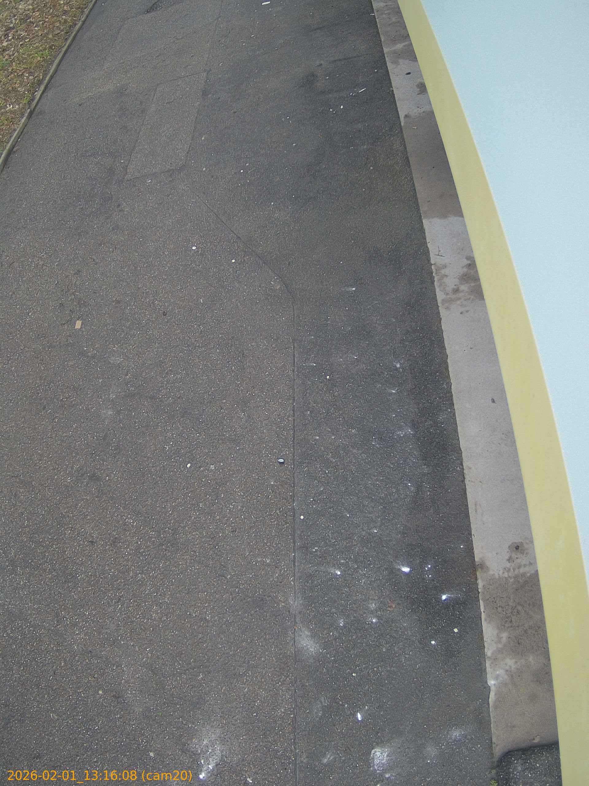 thumbnail_20260201131608