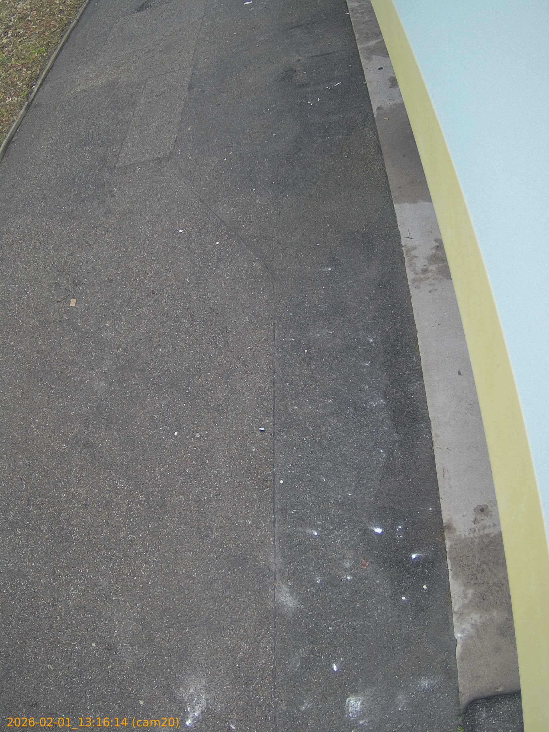 thumbnail_20260201131614