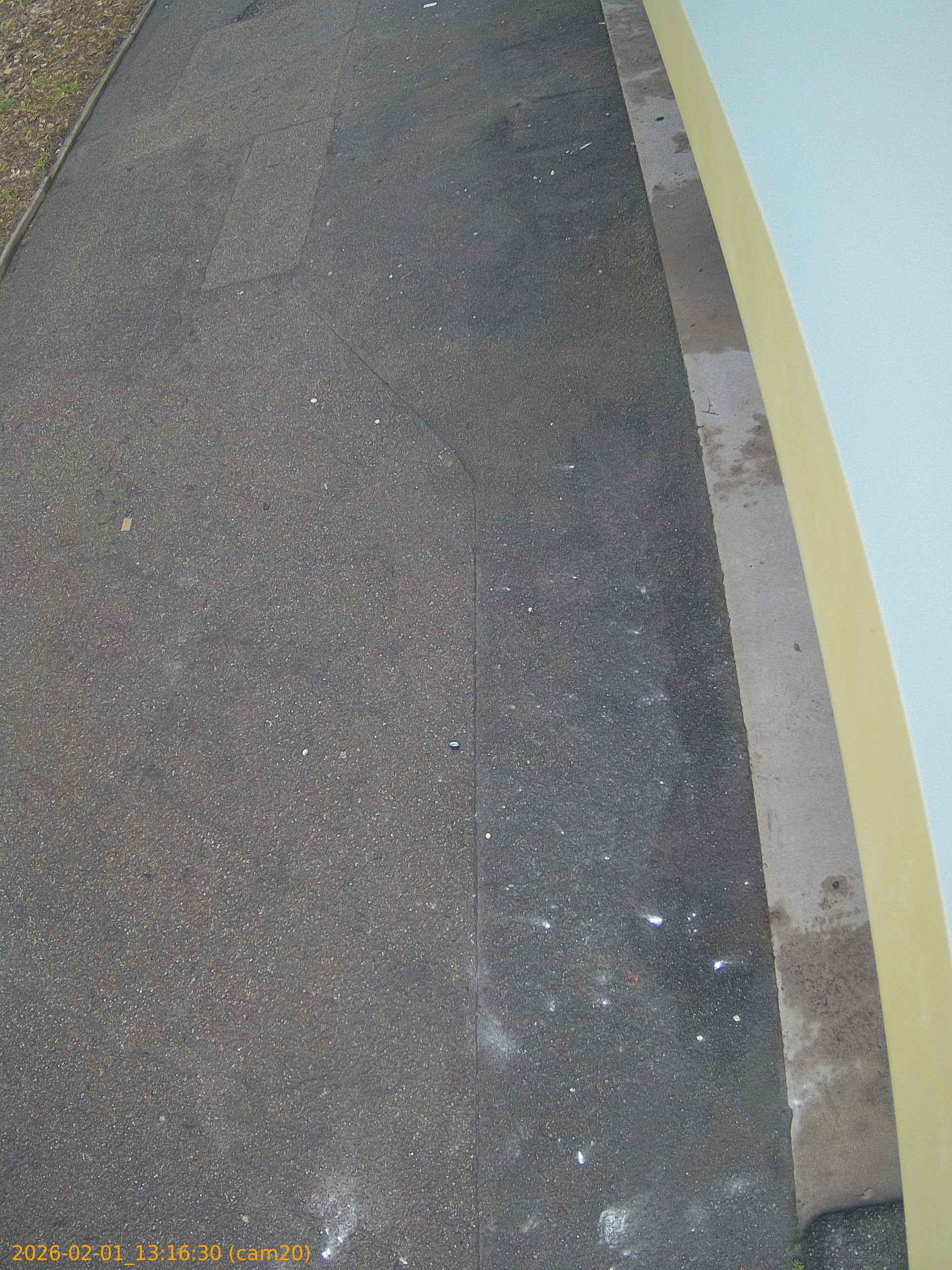 thumbnail_20260201131630