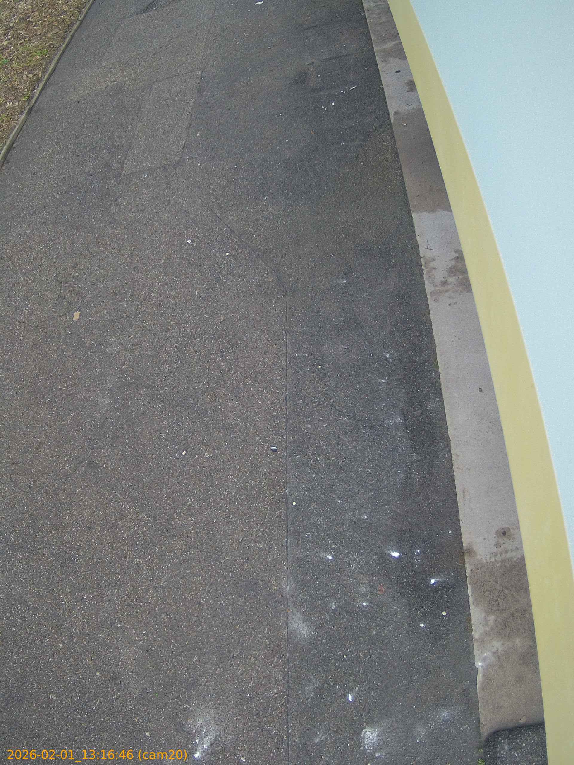 thumbnail_20260201131646