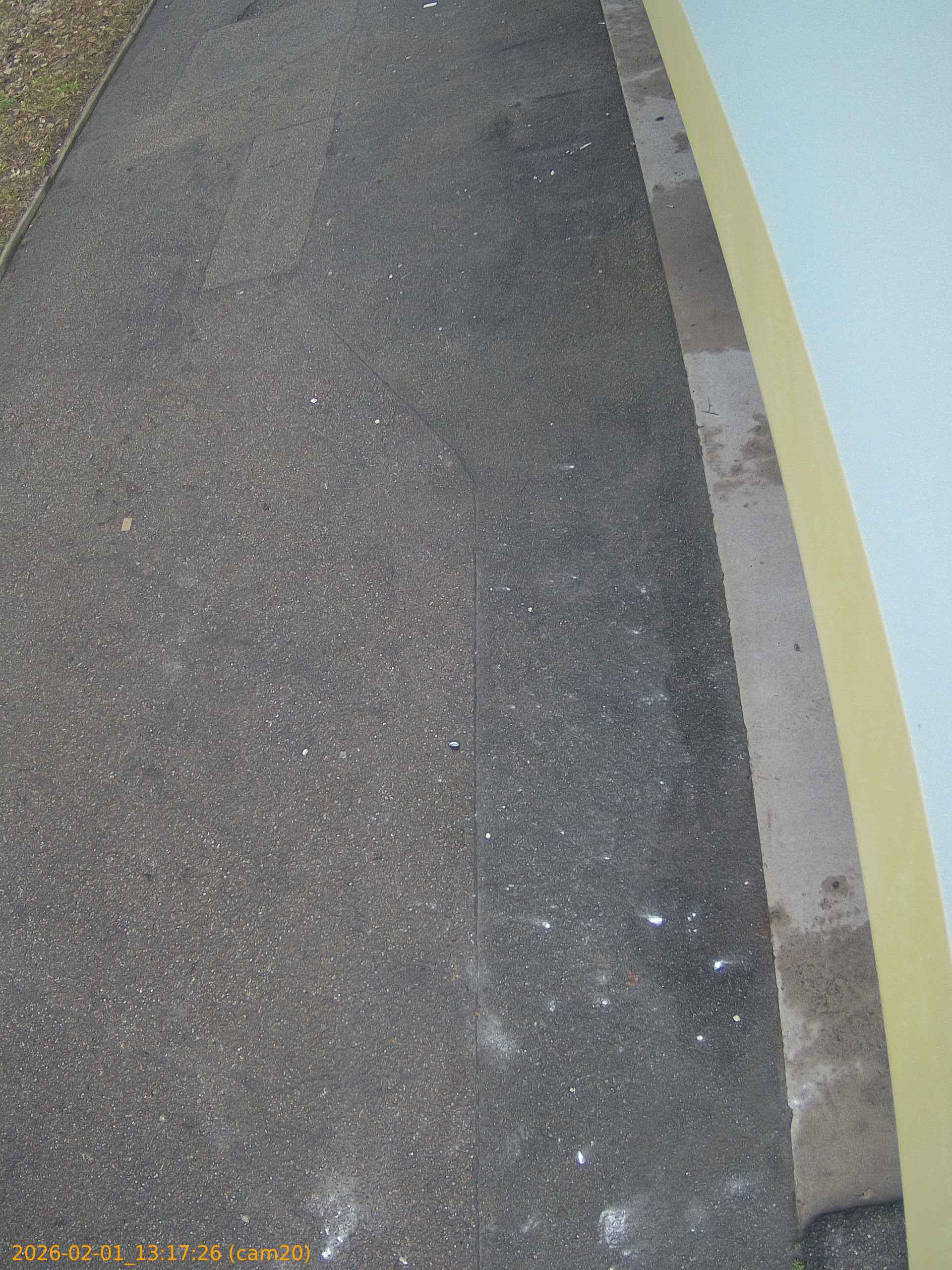 thumbnail_20260201131726