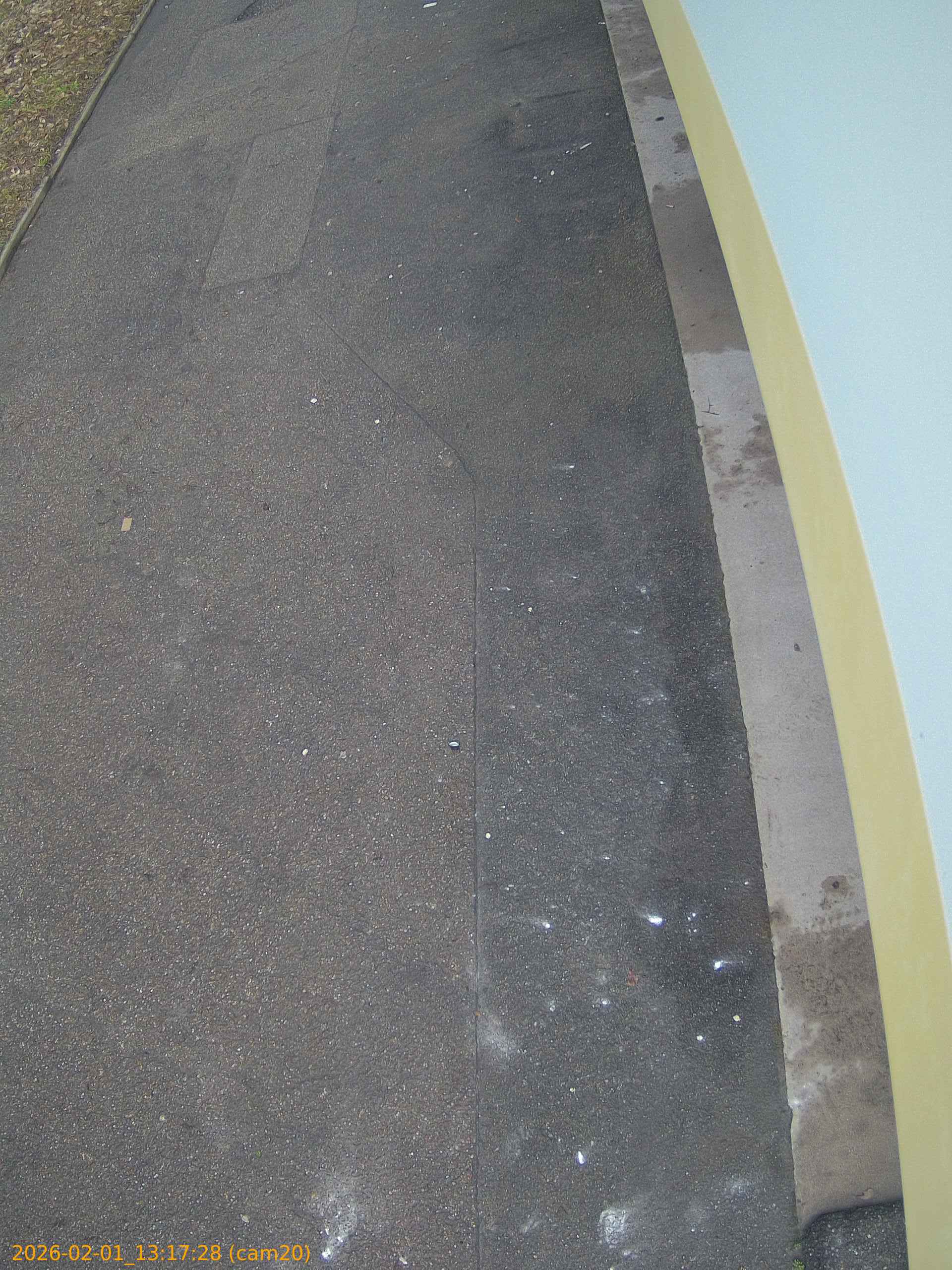 thumbnail_20260201131728