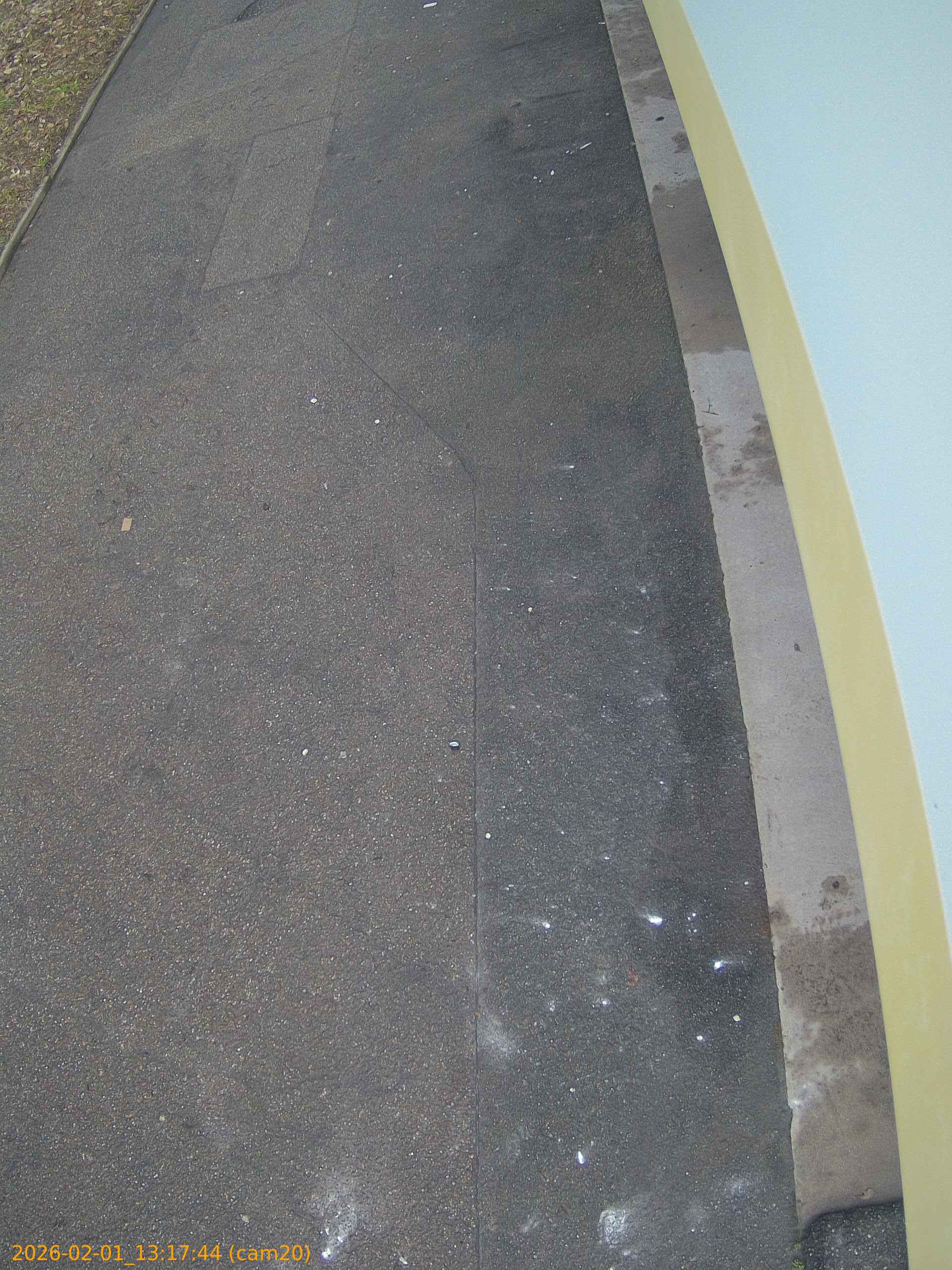 thumbnail_20260201131744