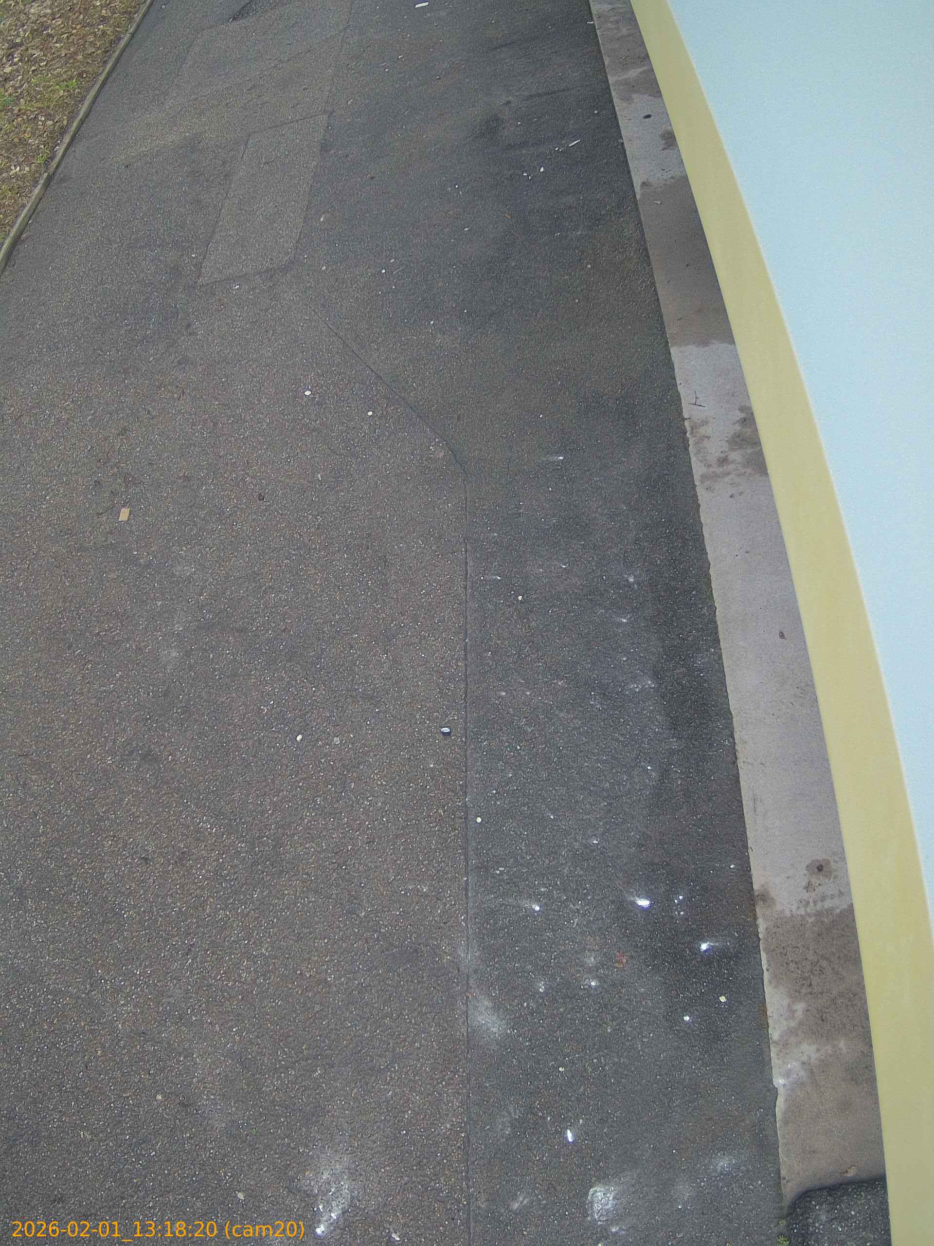 thumbnail_20260201131820