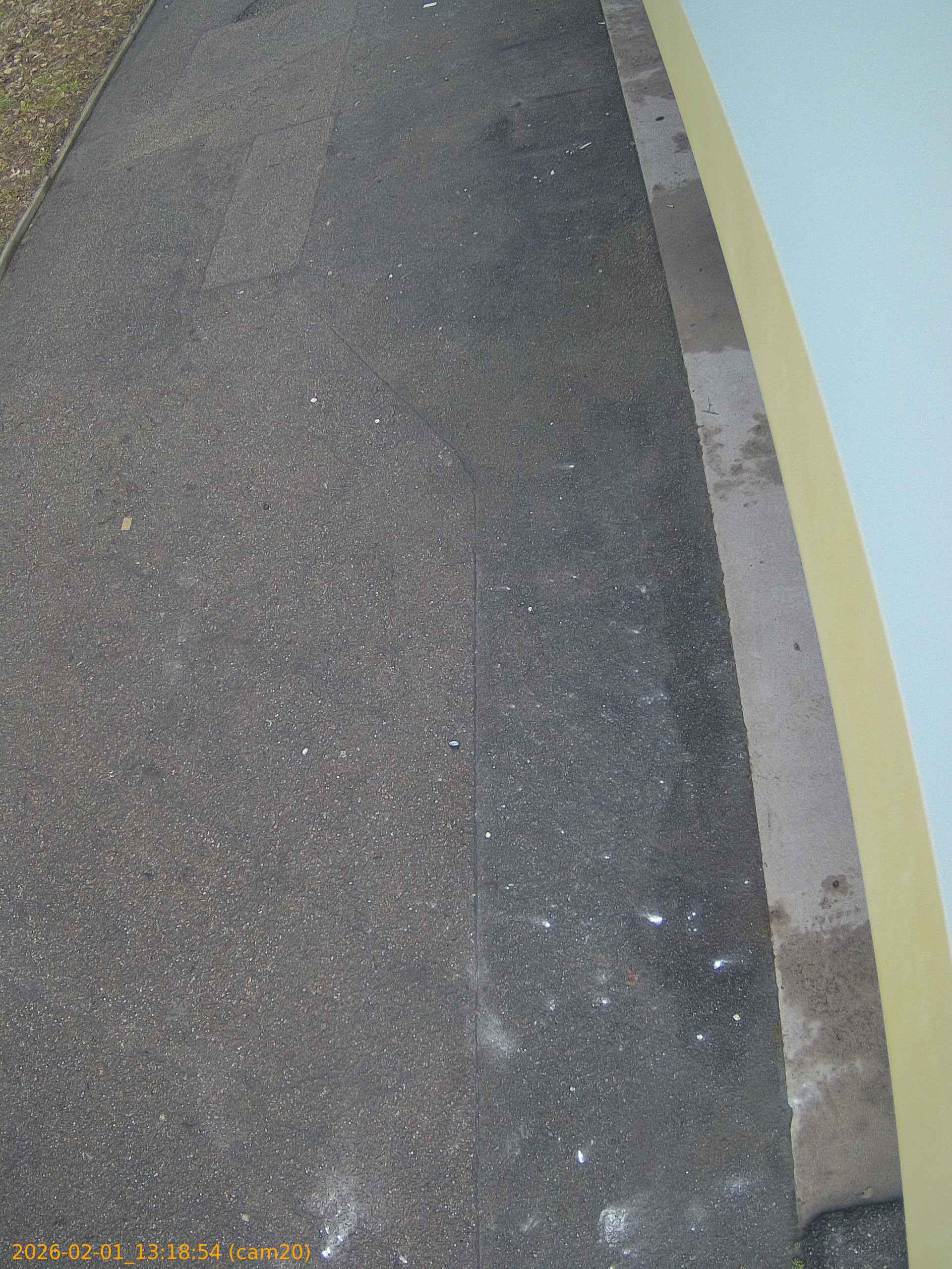 thumbnail_20260201131854