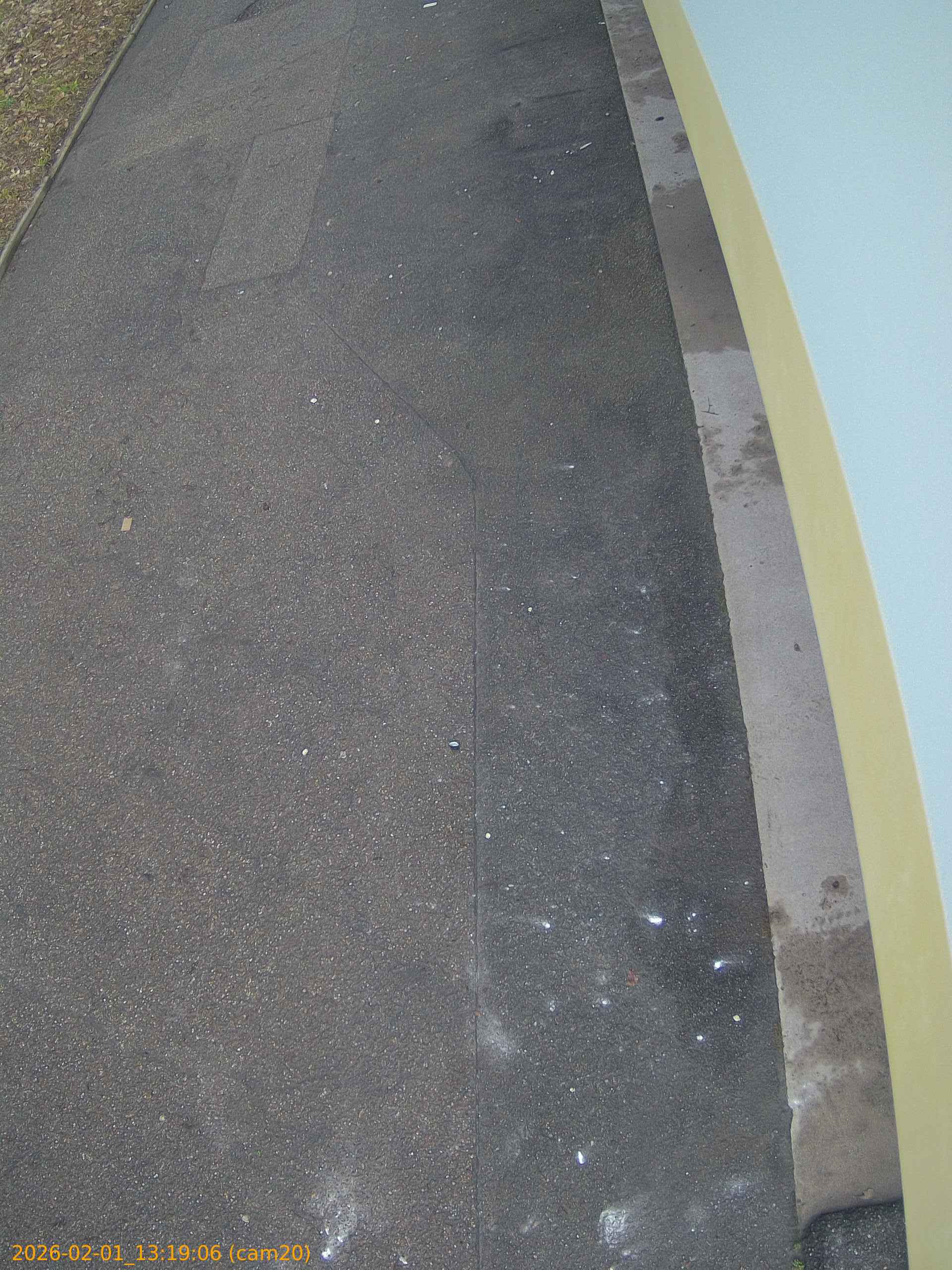 thumbnail_20260201131906