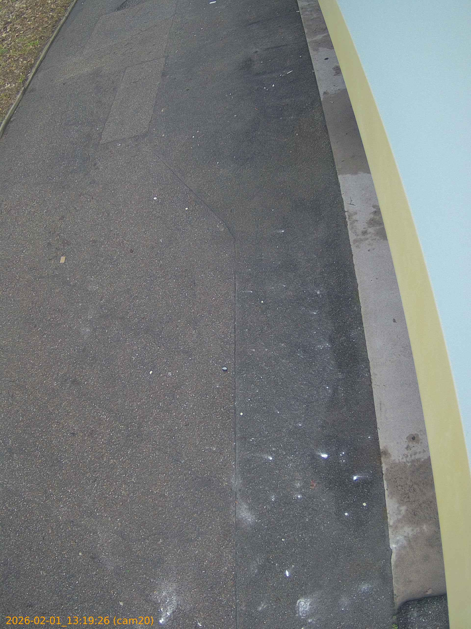 thumbnail_20260201131926