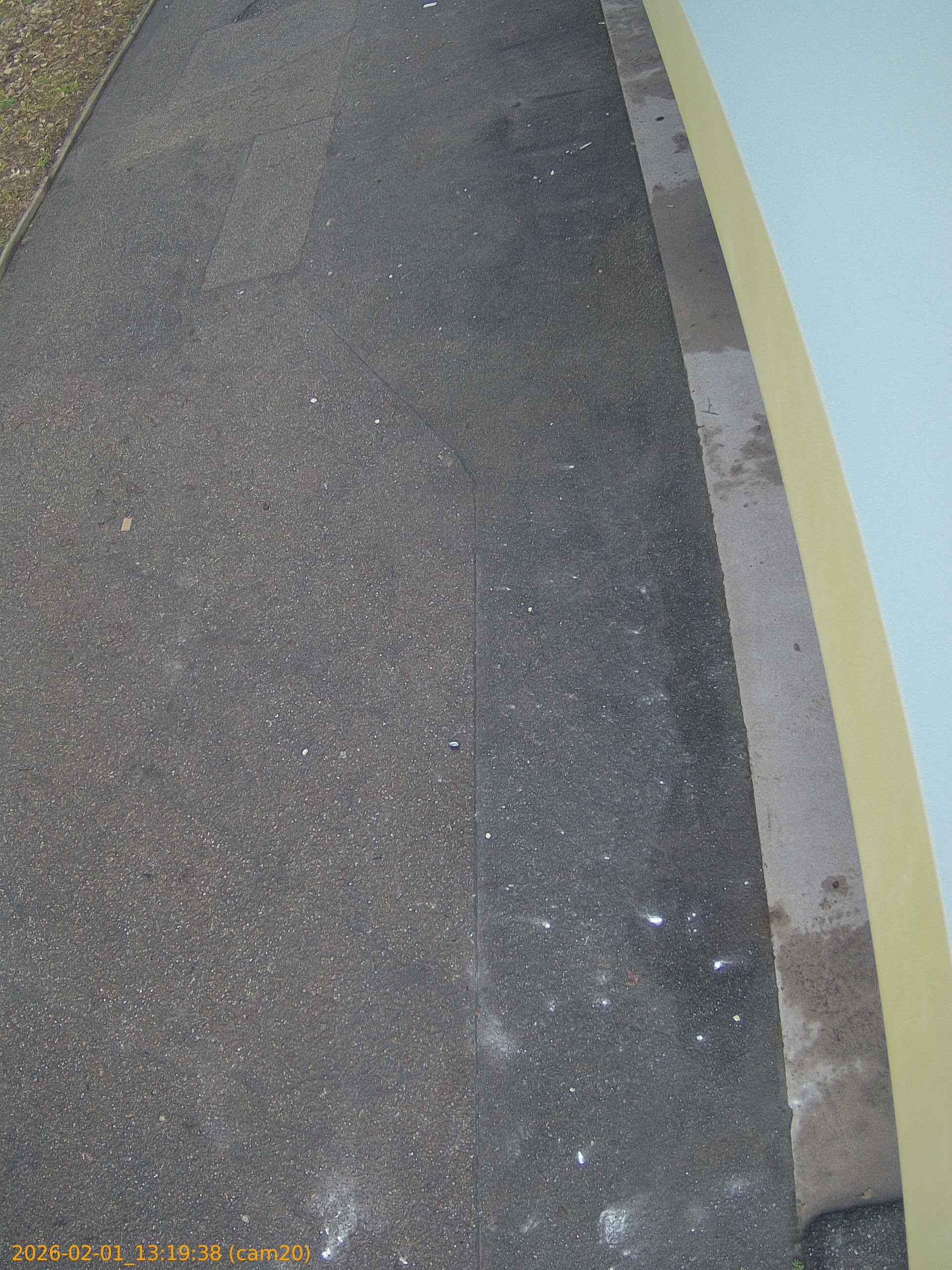 thumbnail_20260201131938