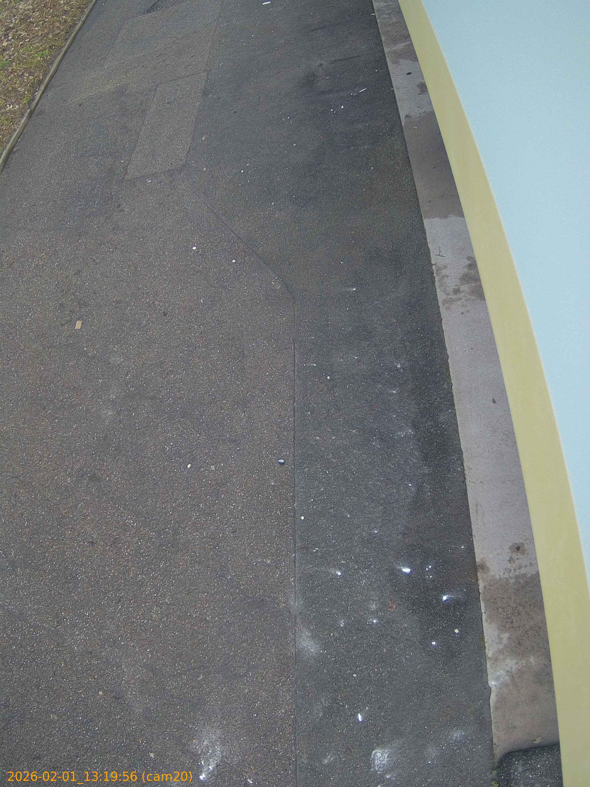 thumbnail_20260201131956