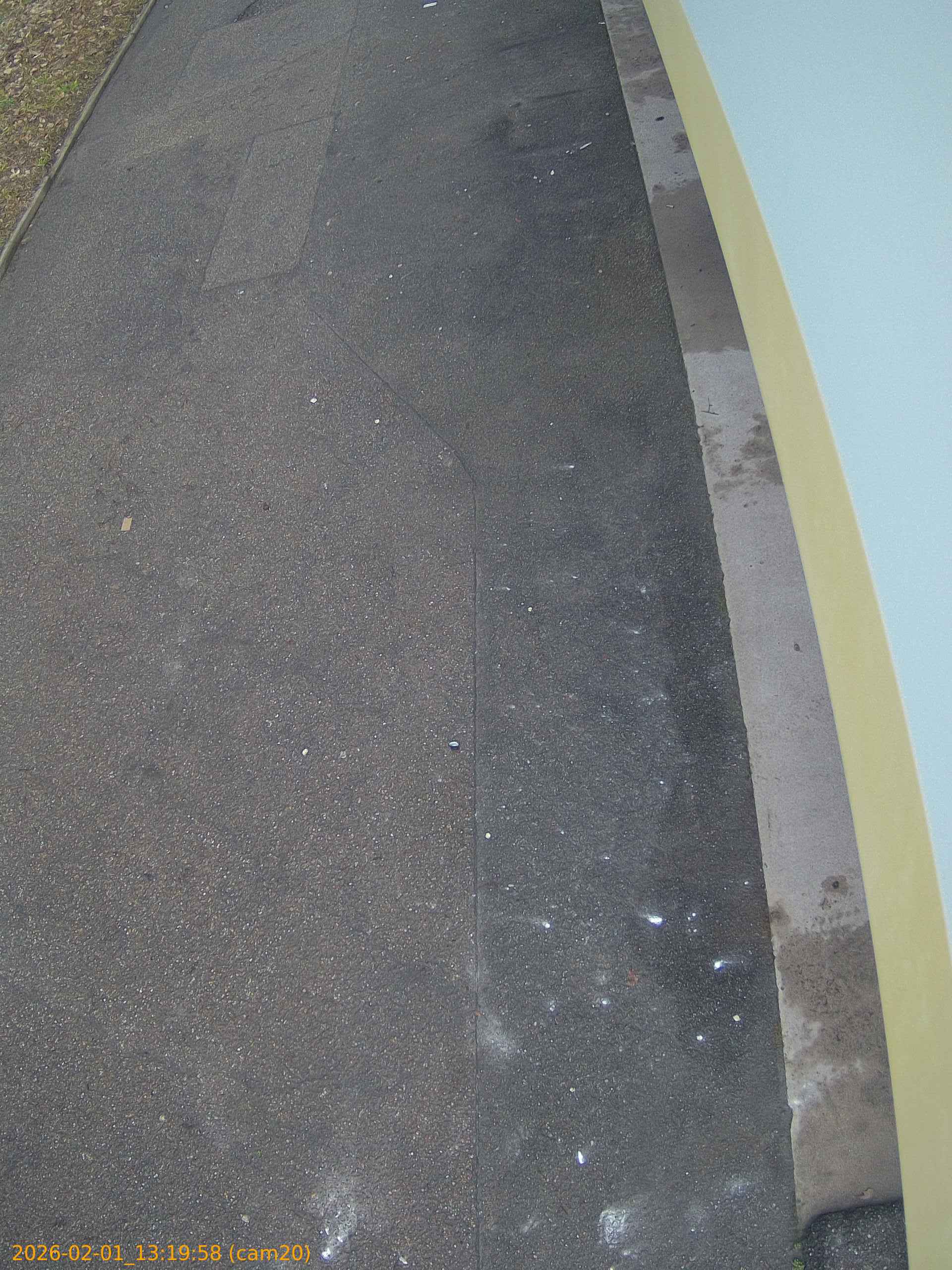 thumbnail_20260201131958