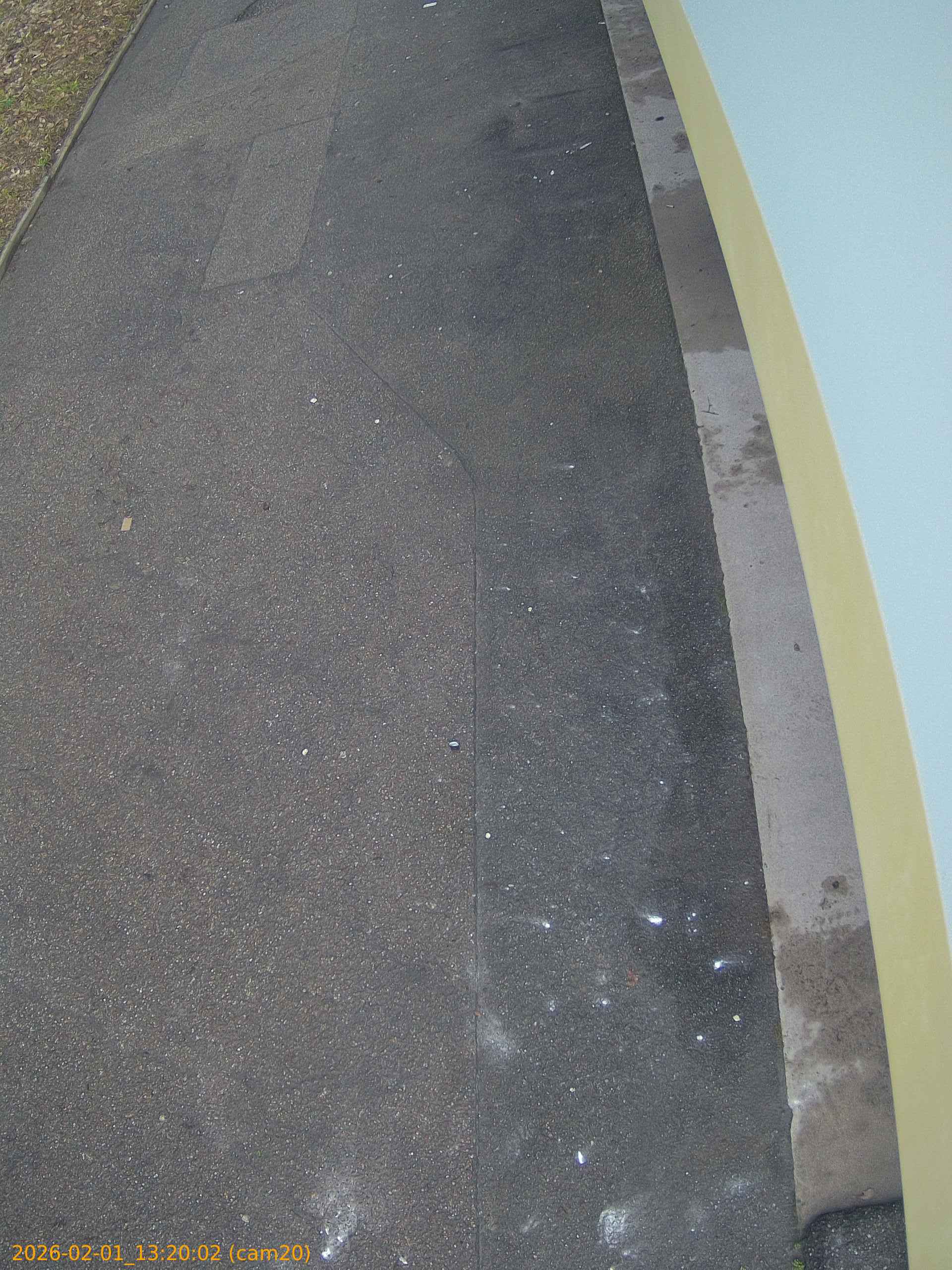 thumbnail_20260201132002