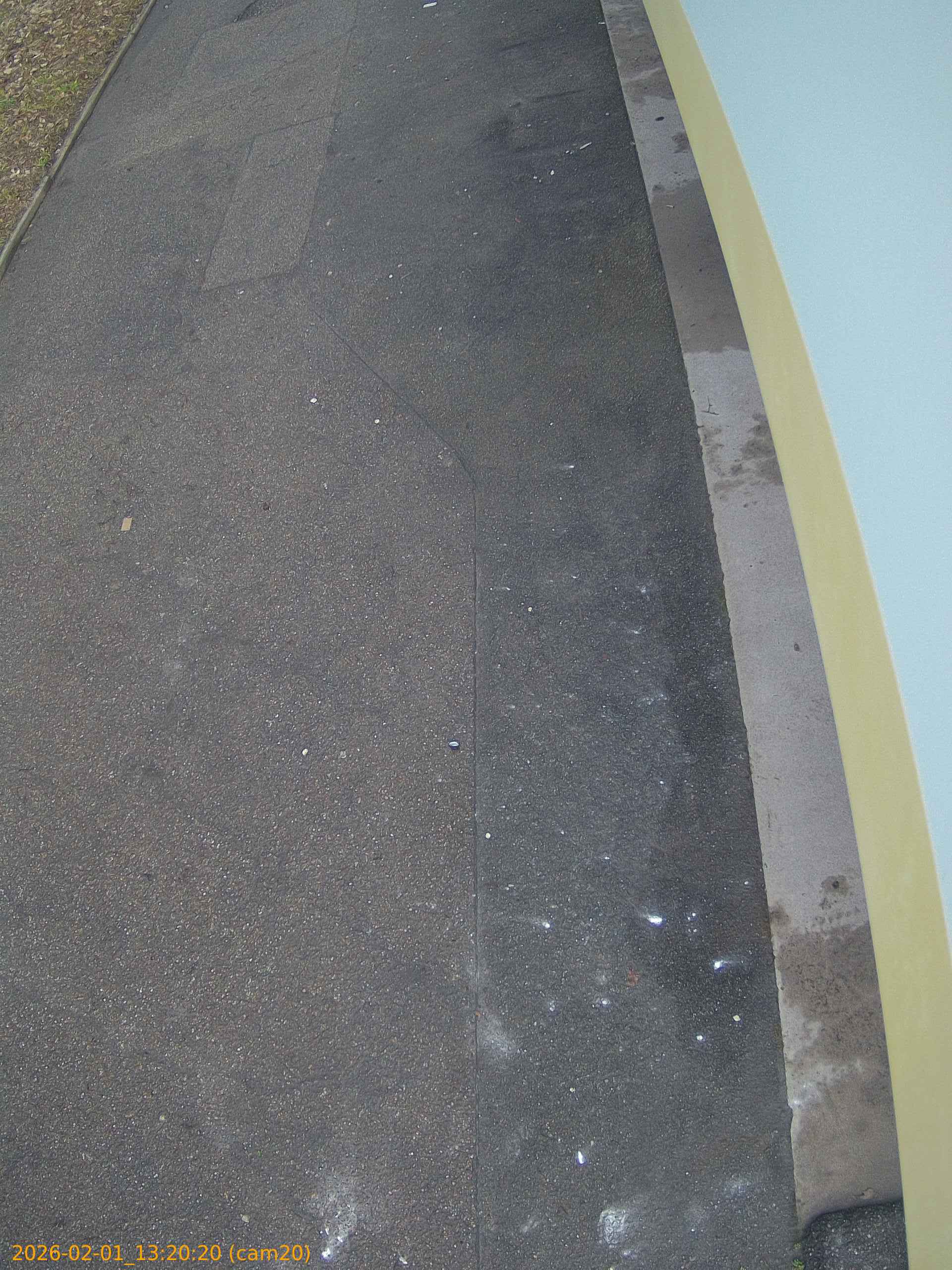 thumbnail_20260201132020