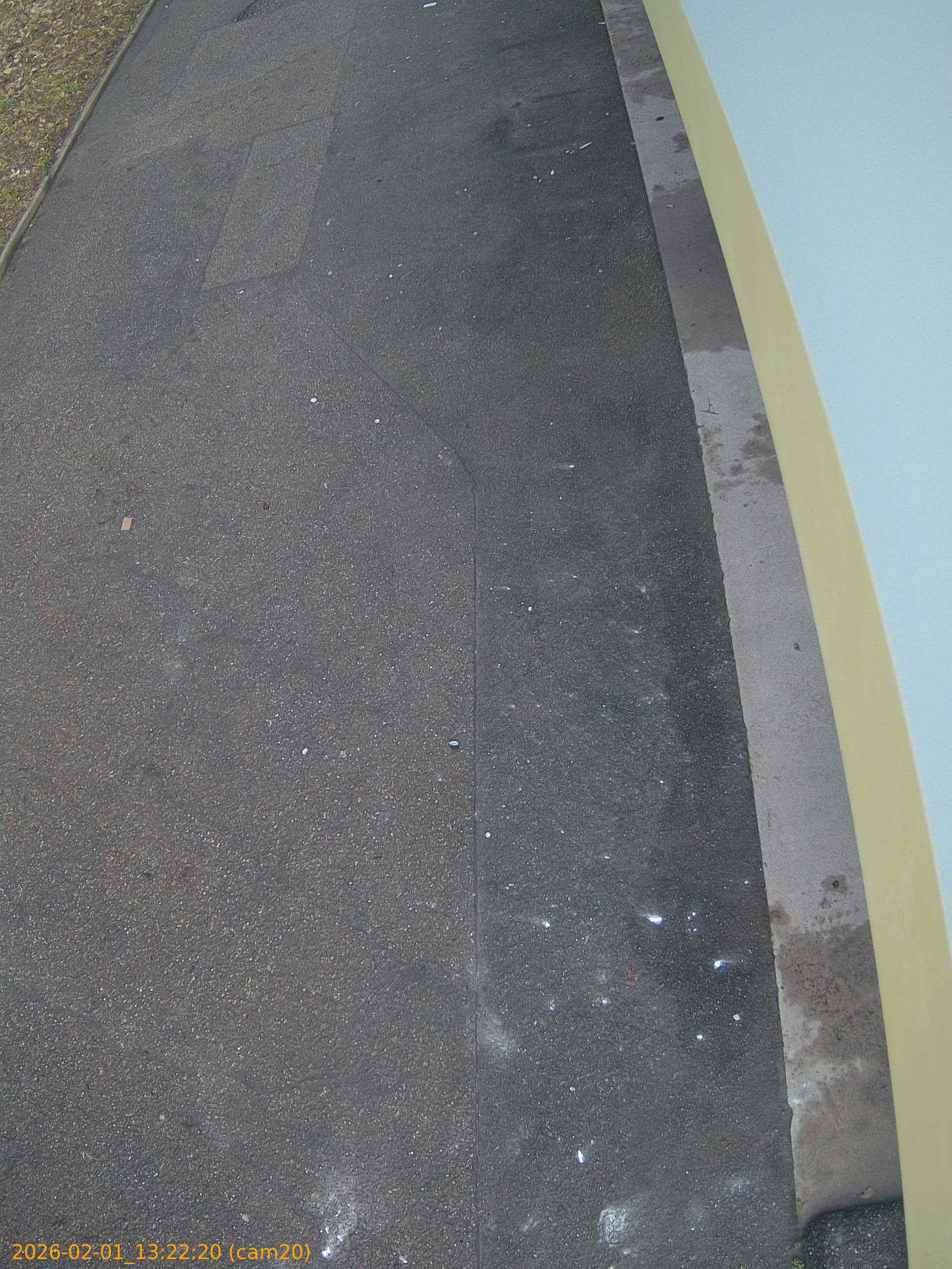 thumbnail_20260201132220