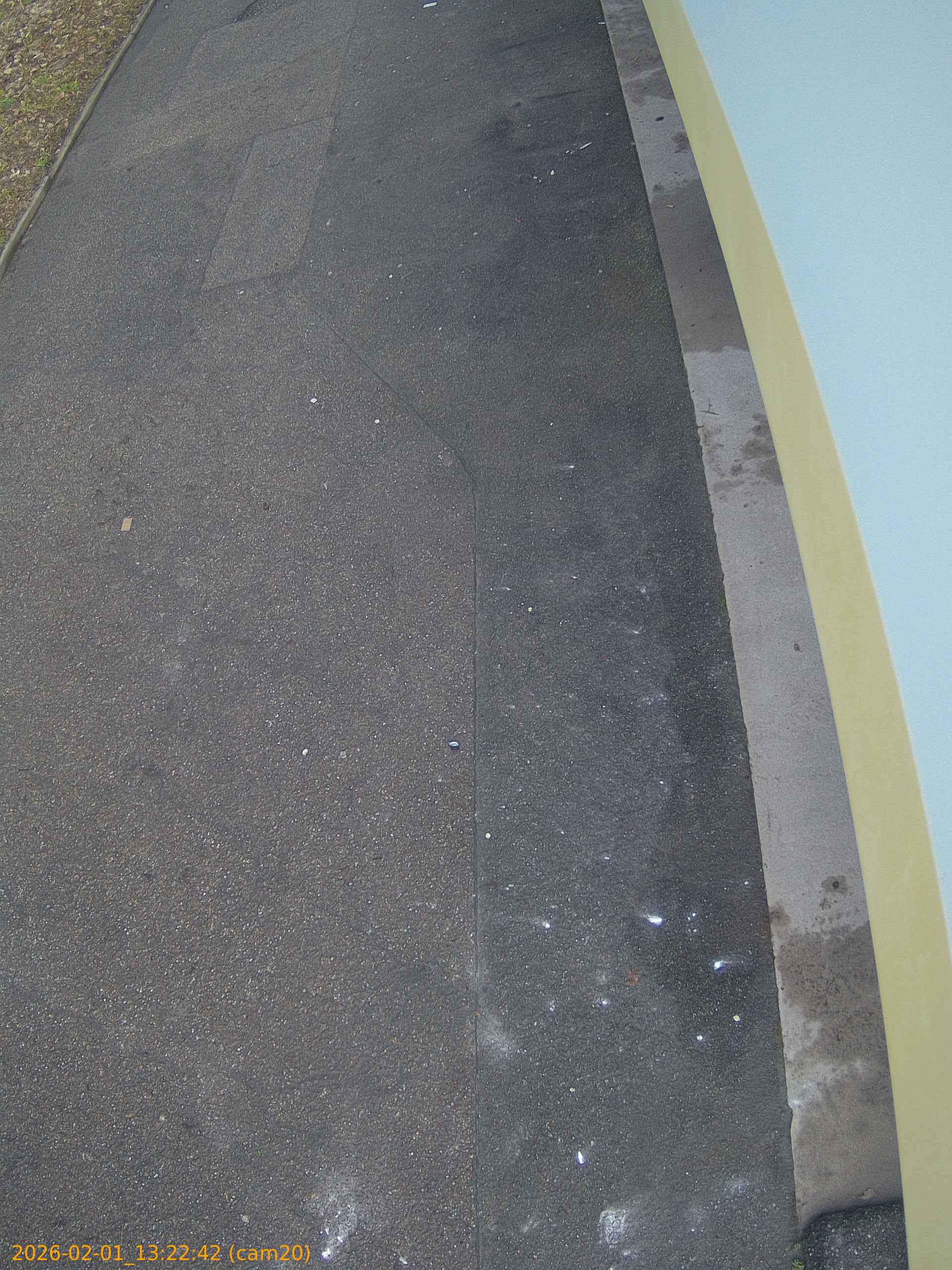 thumbnail_20260201132242