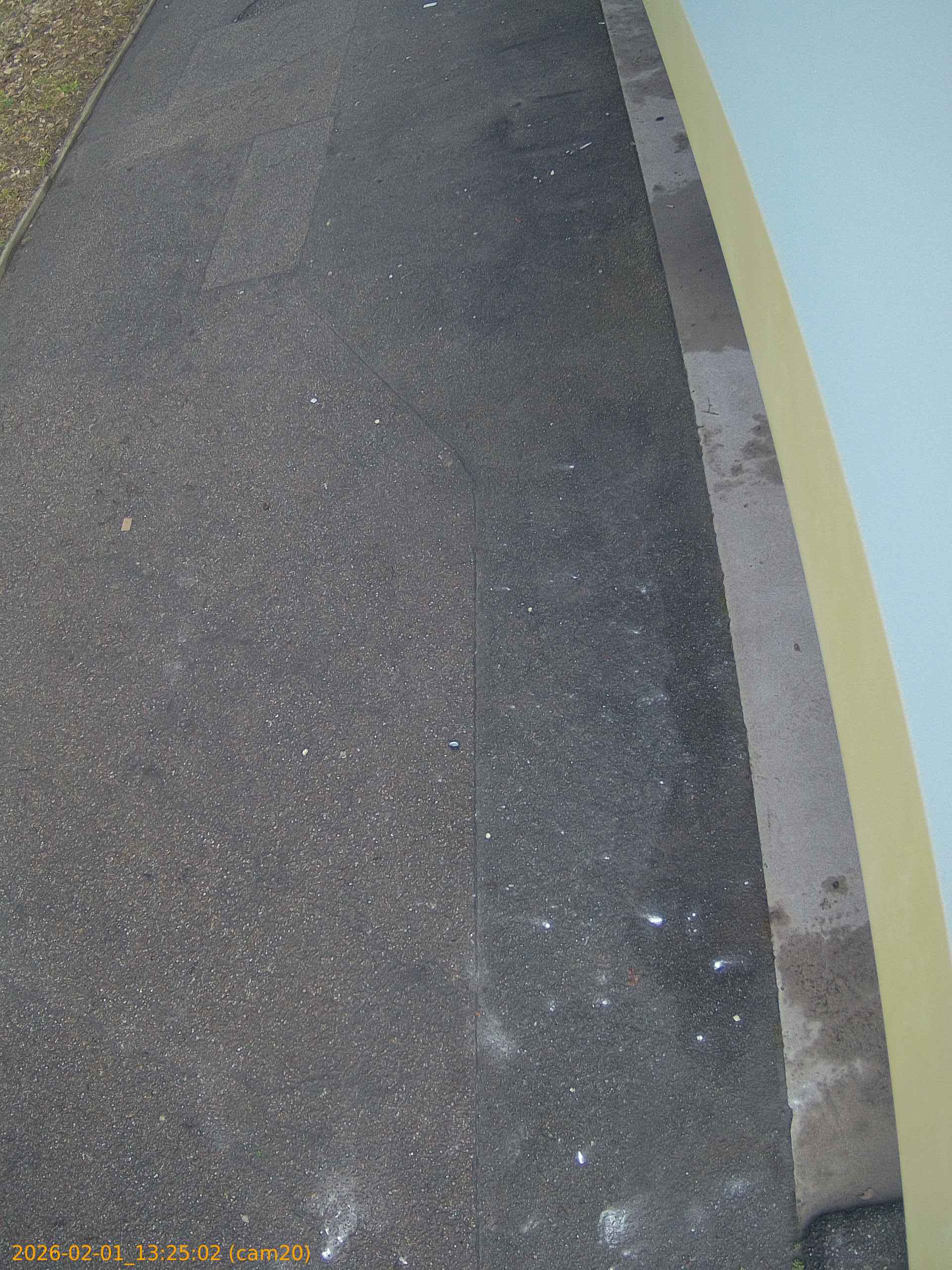 thumbnail_20260201132502