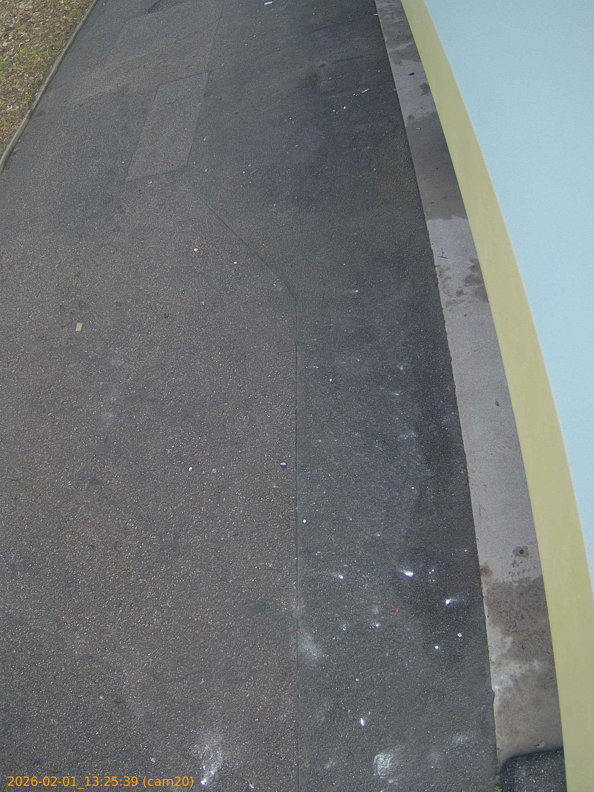 thumbnail_20260201132539