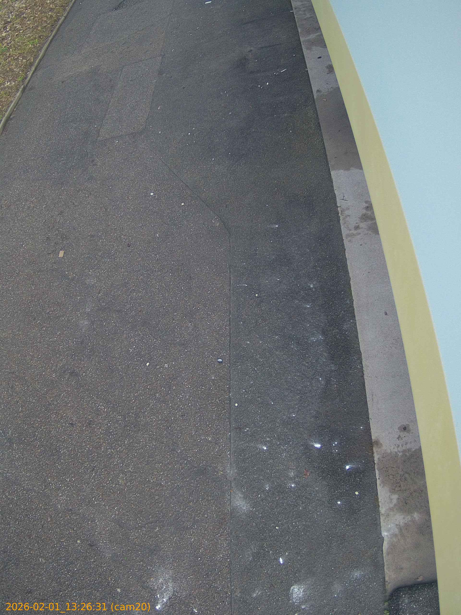 thumbnail_20260201132631