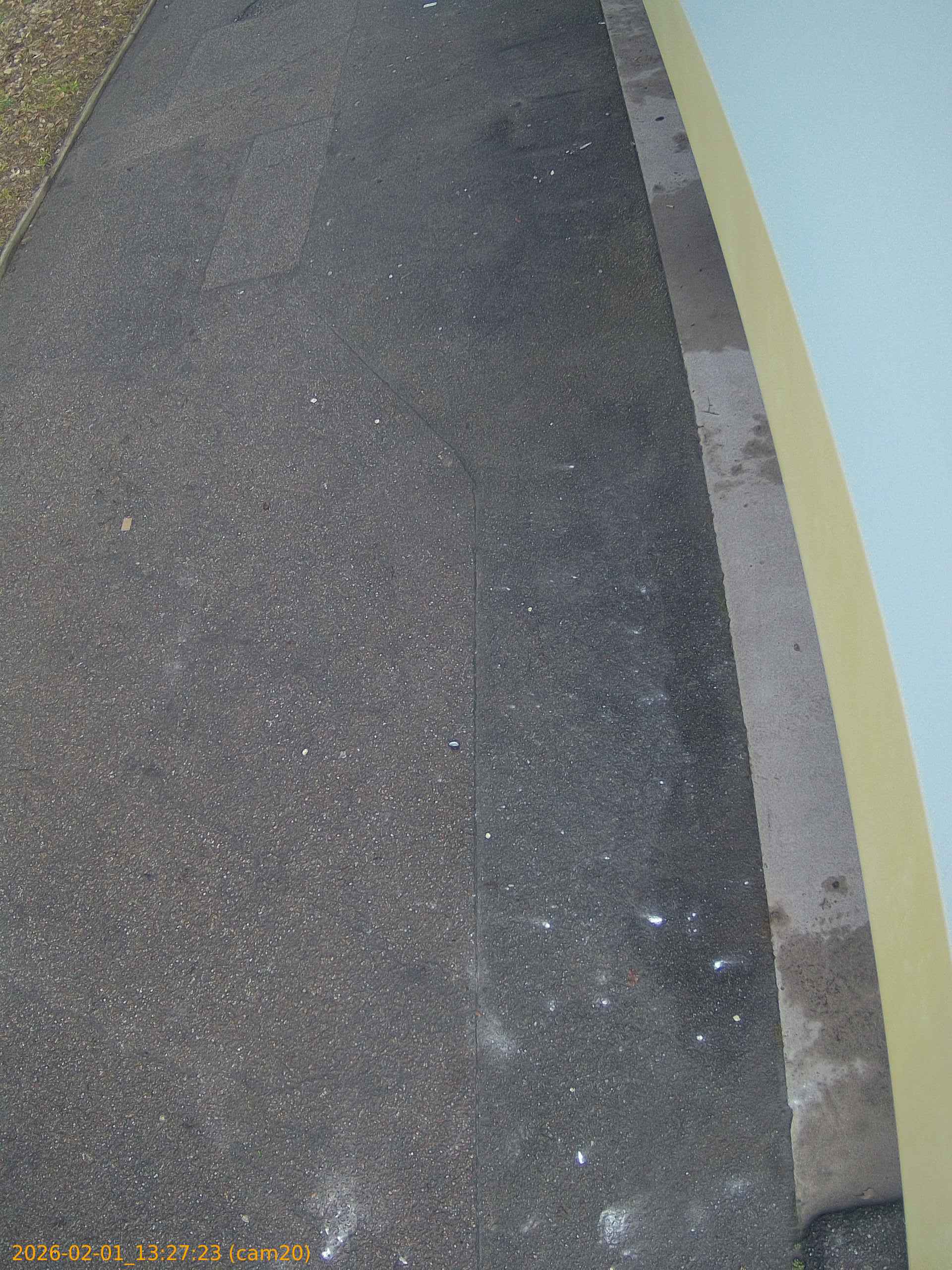 thumbnail_20260201132723