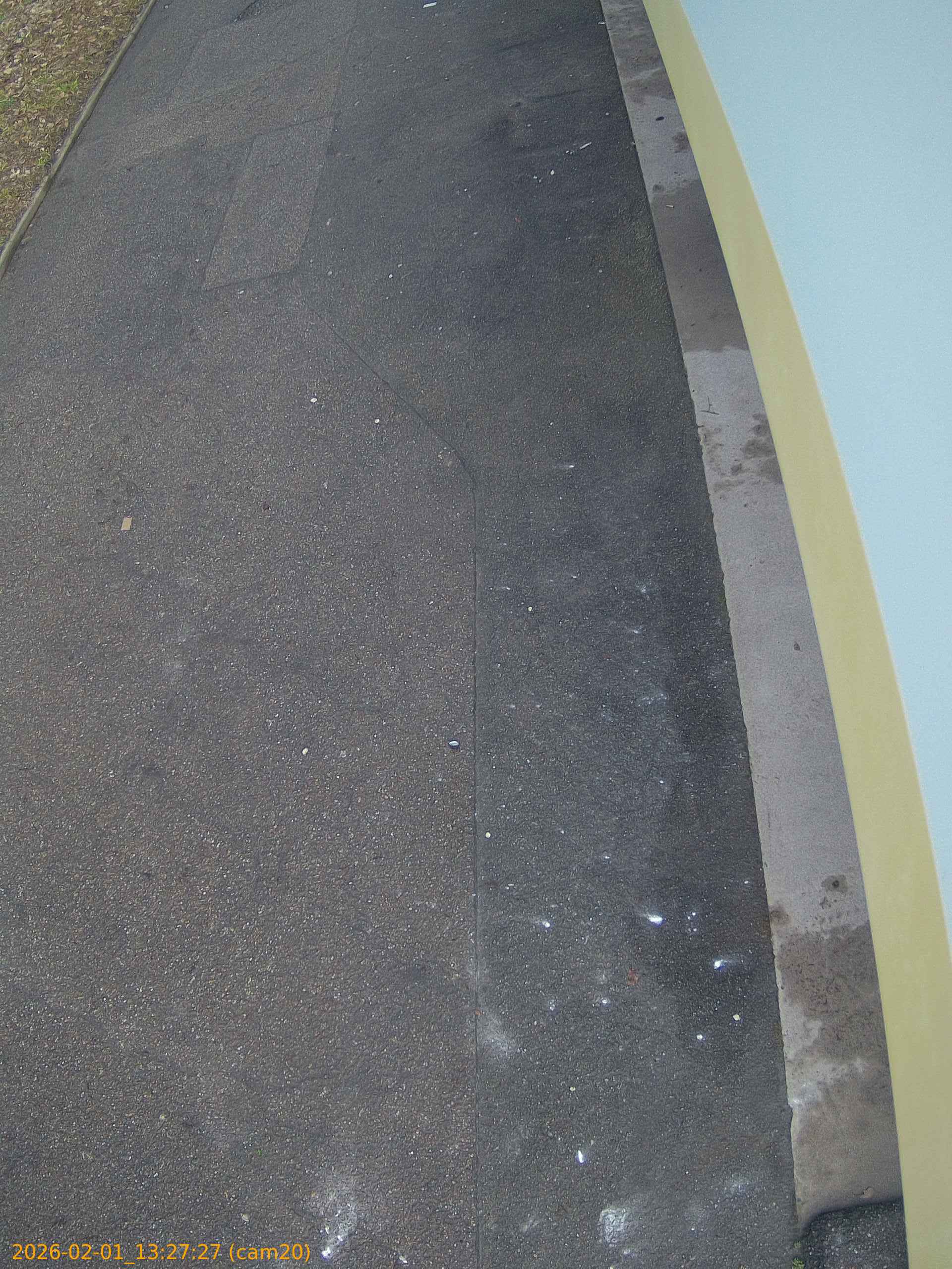 thumbnail_20260201132727