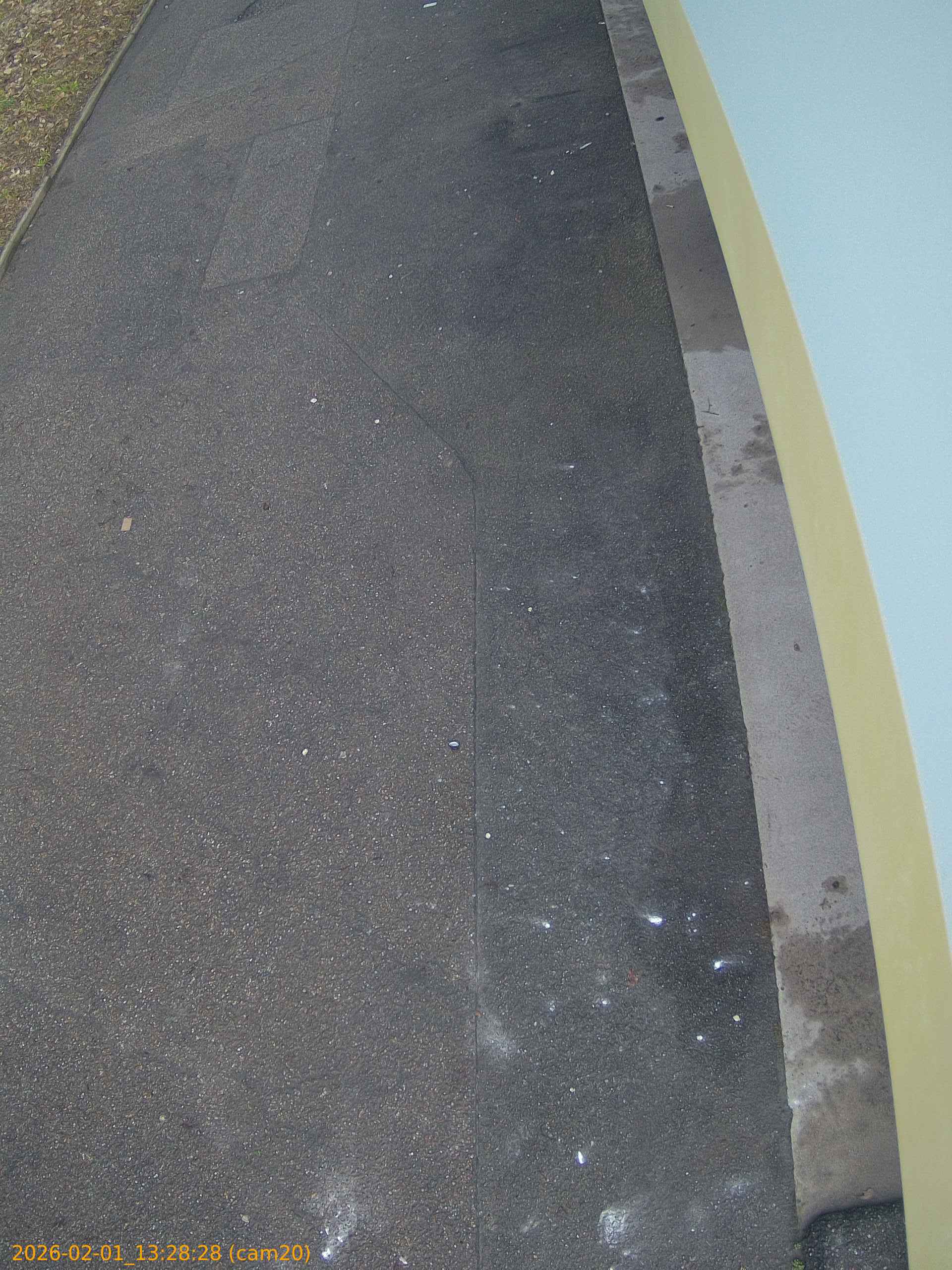 thumbnail_20260201132828