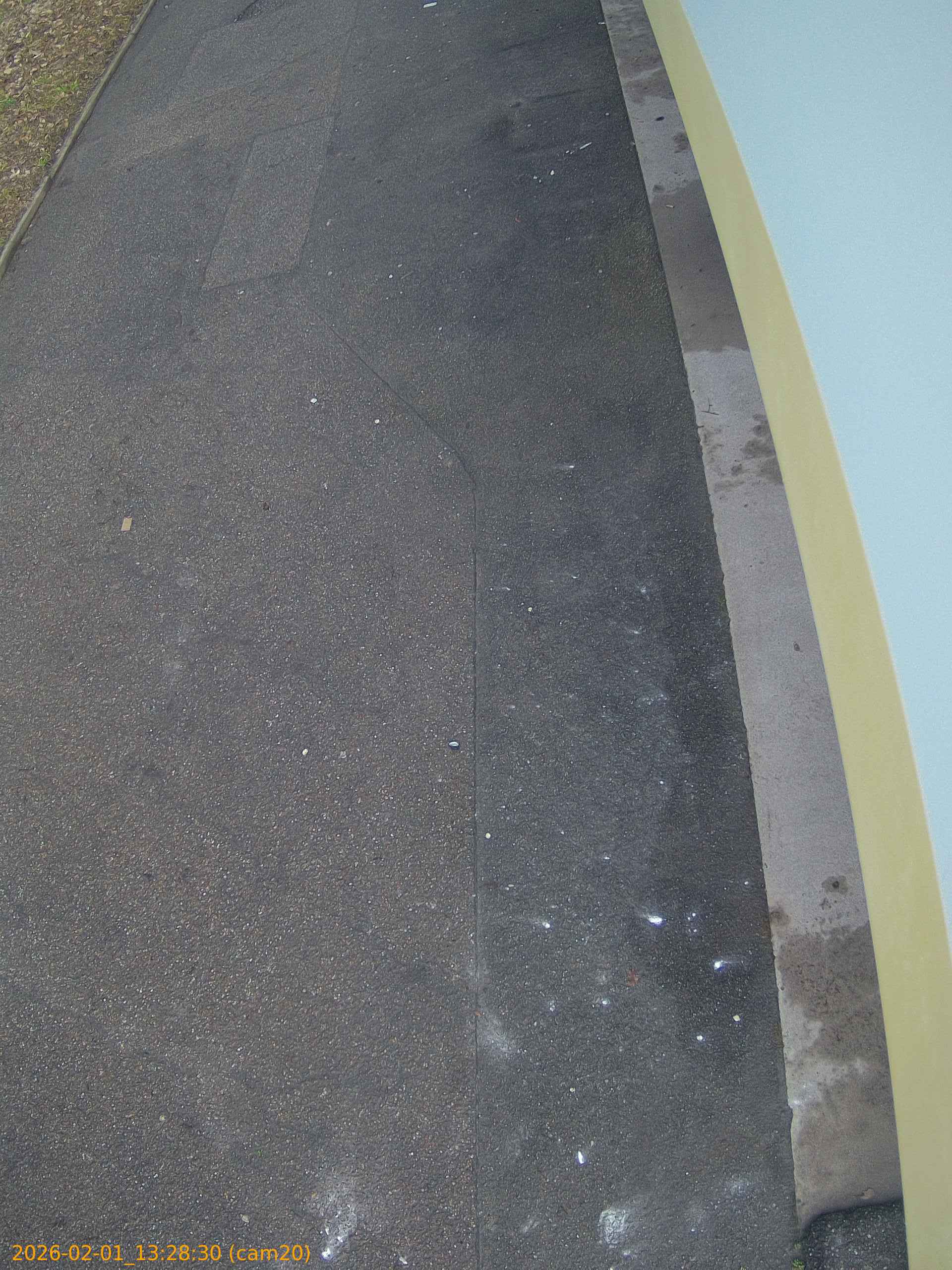 thumbnail_20260201132830