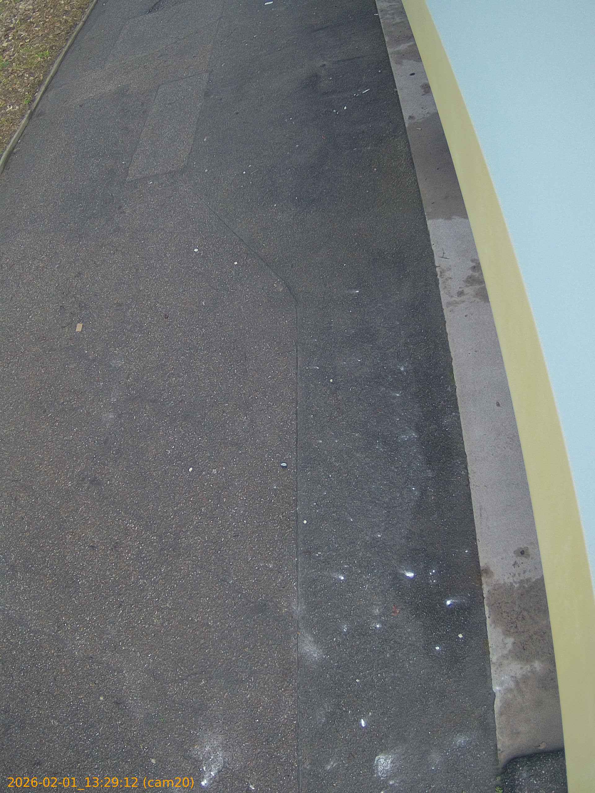 thumbnail_20260201132912