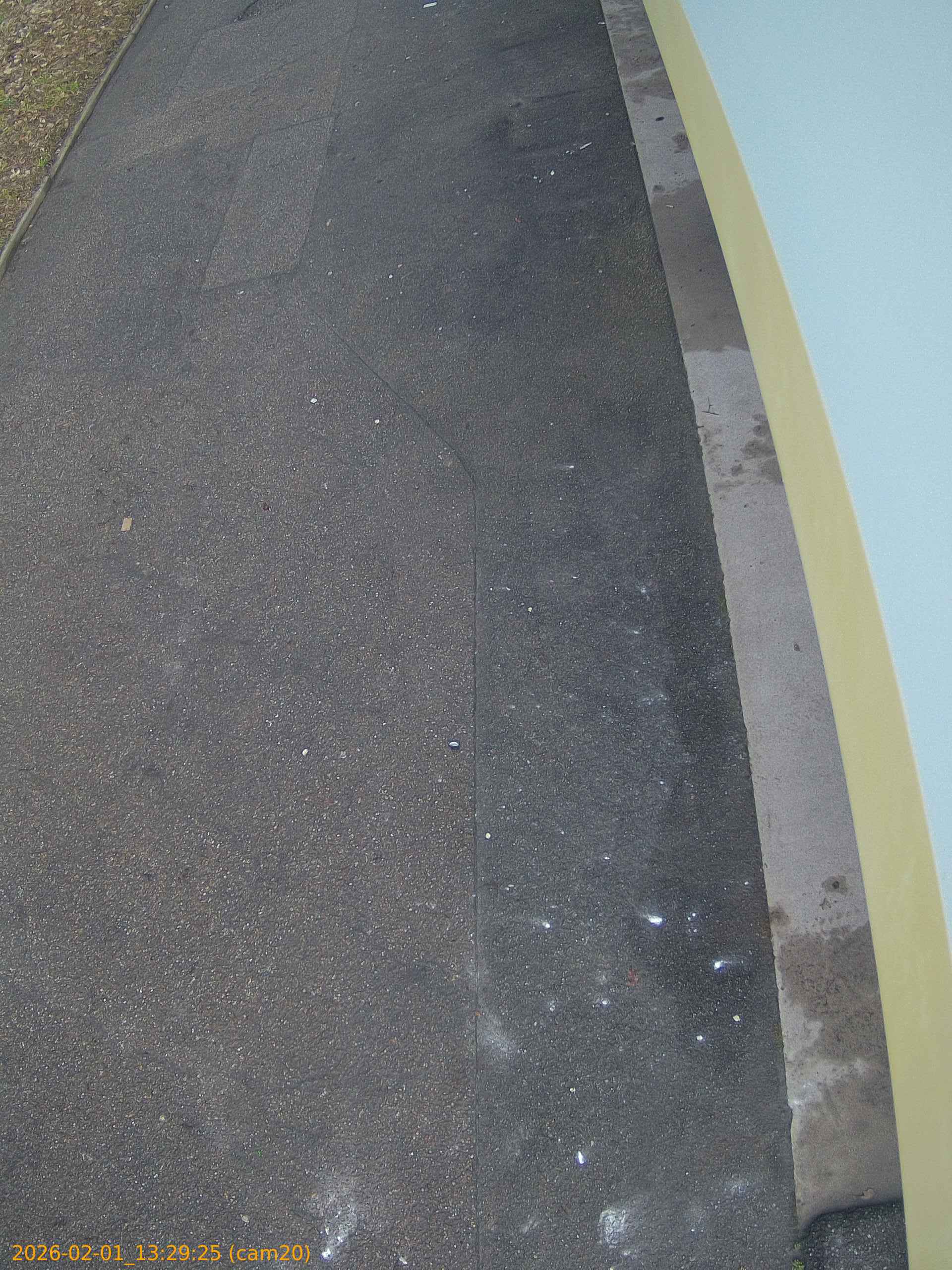 thumbnail_20260201132925