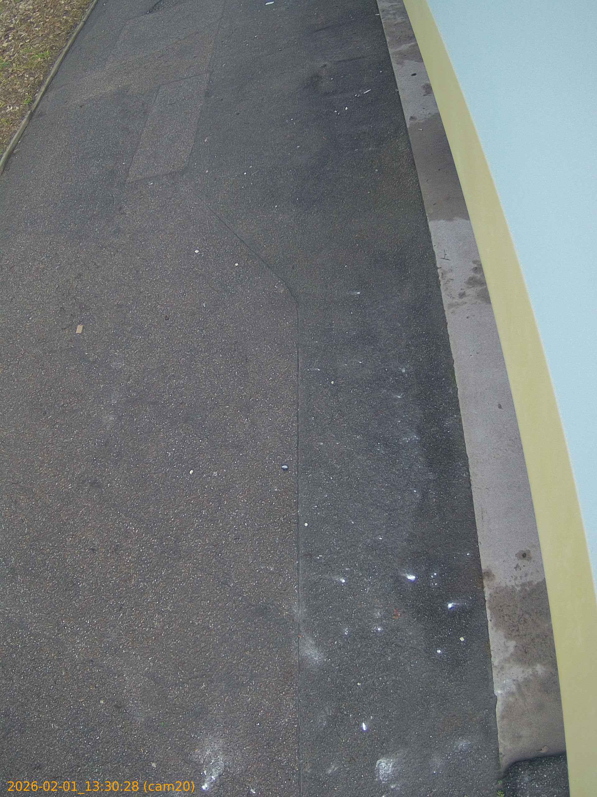 thumbnail_20260201133028