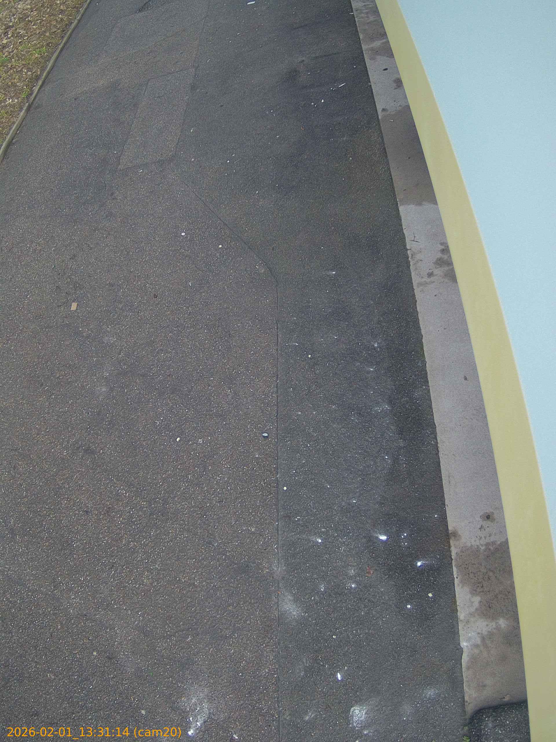 thumbnail_20260201133114