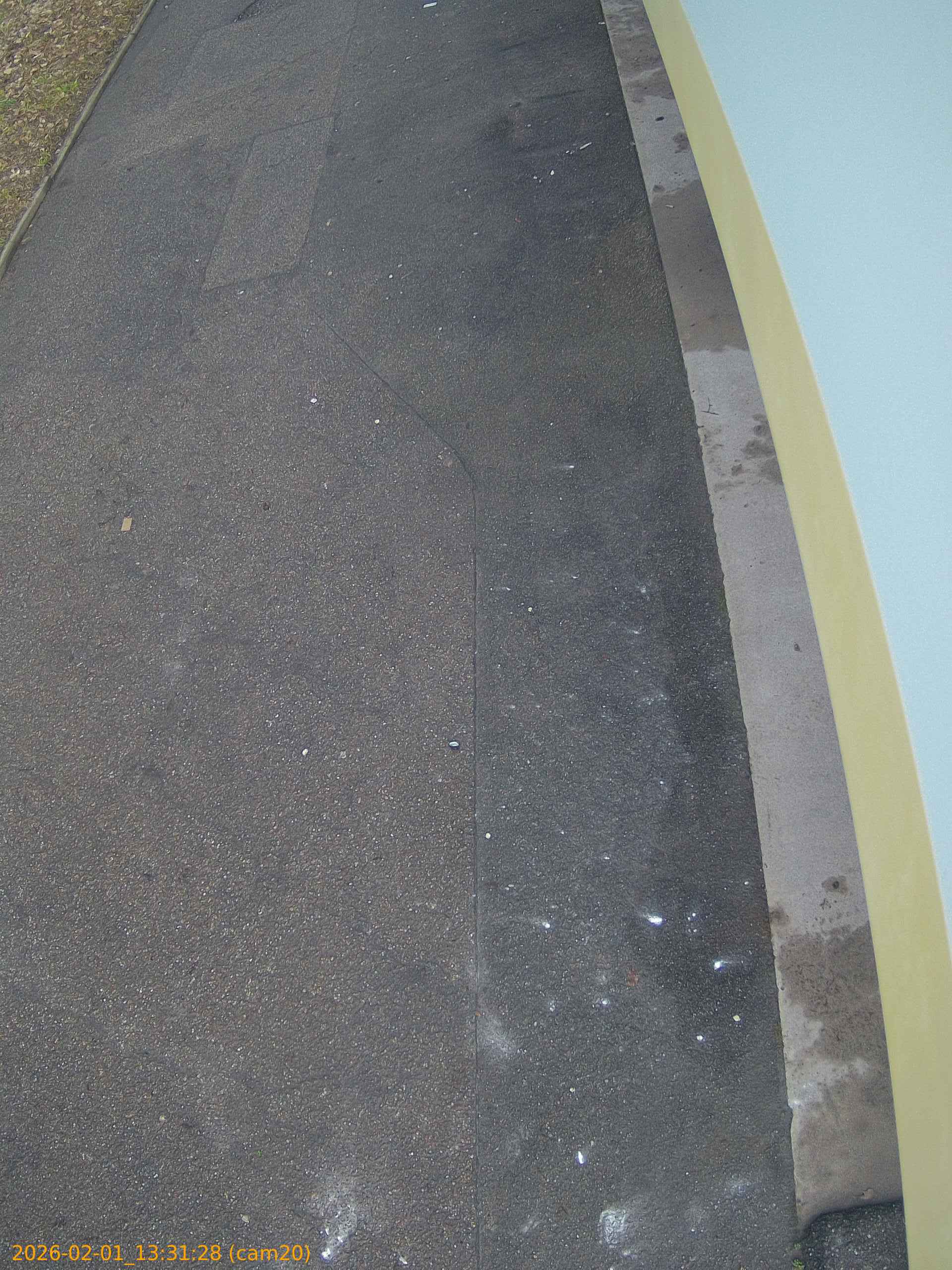 thumbnail_20260201133128