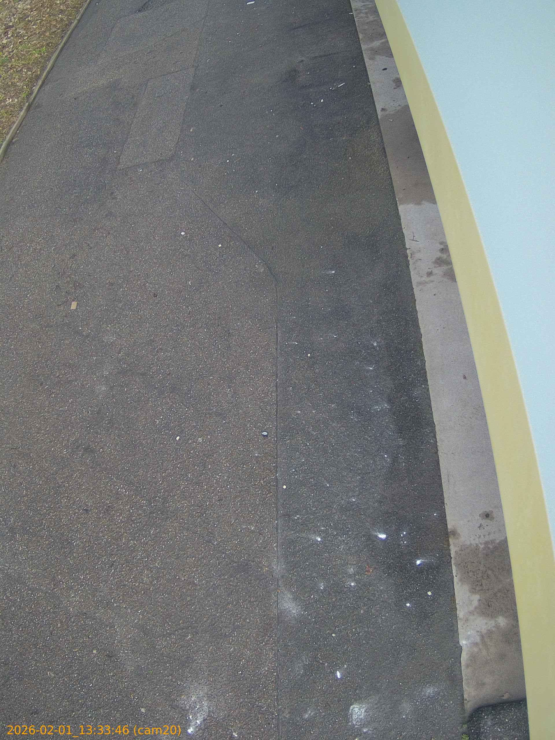 thumbnail_20260201133346