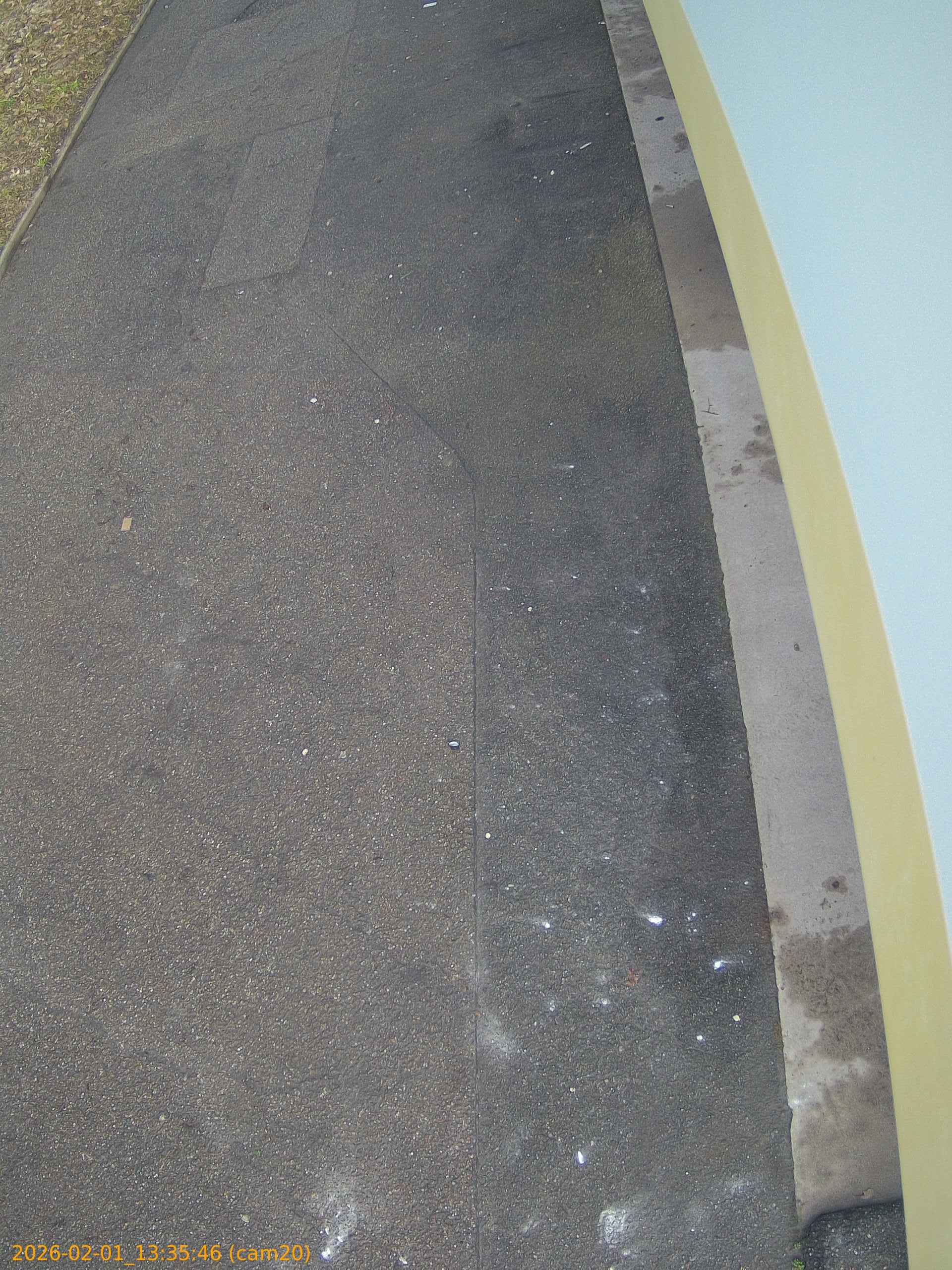 thumbnail_20260201133546