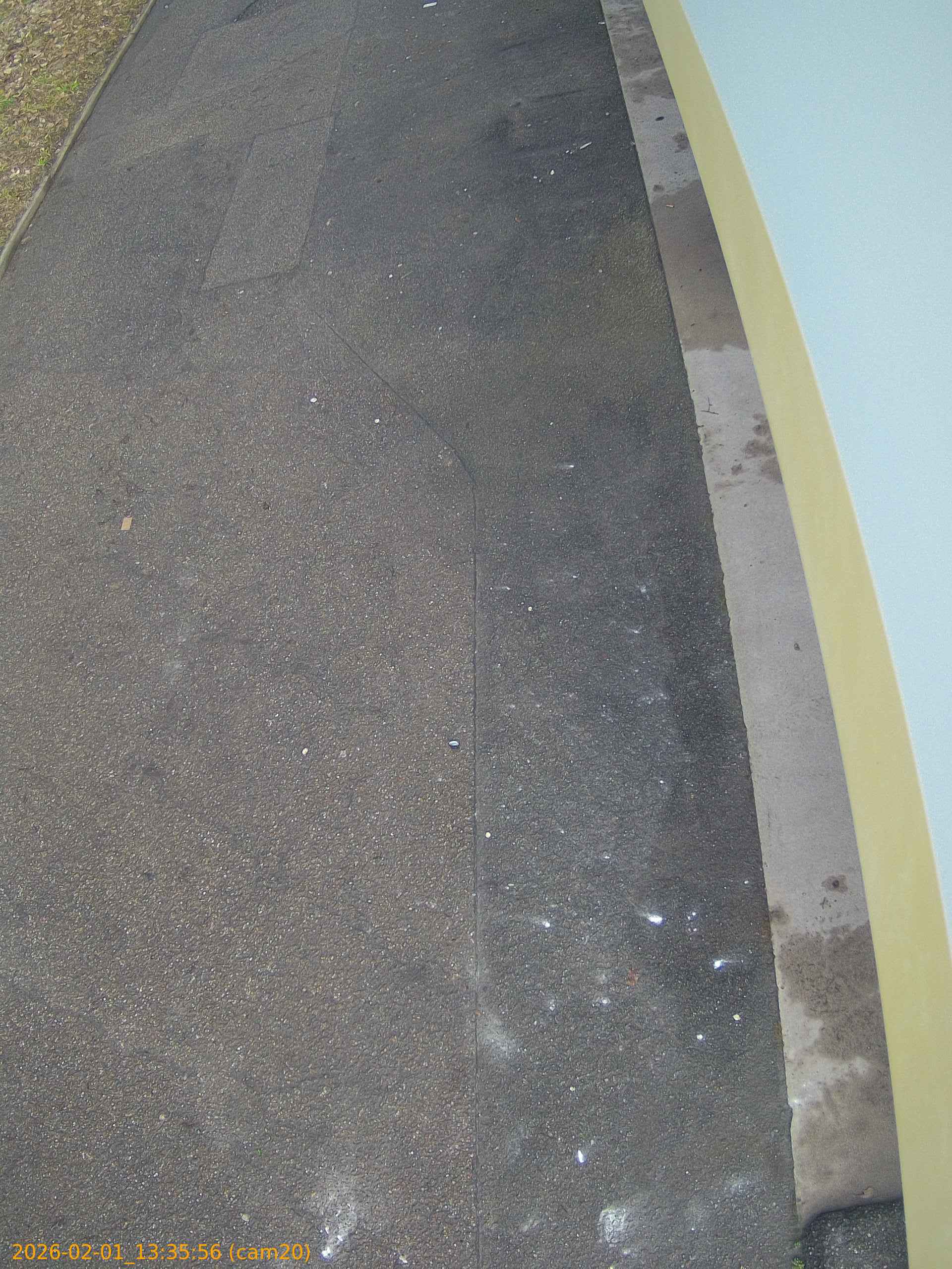 thumbnail_20260201133556