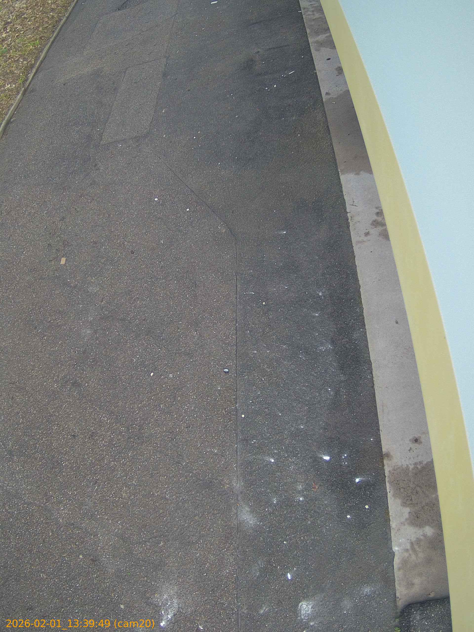 thumbnail_20260201133949