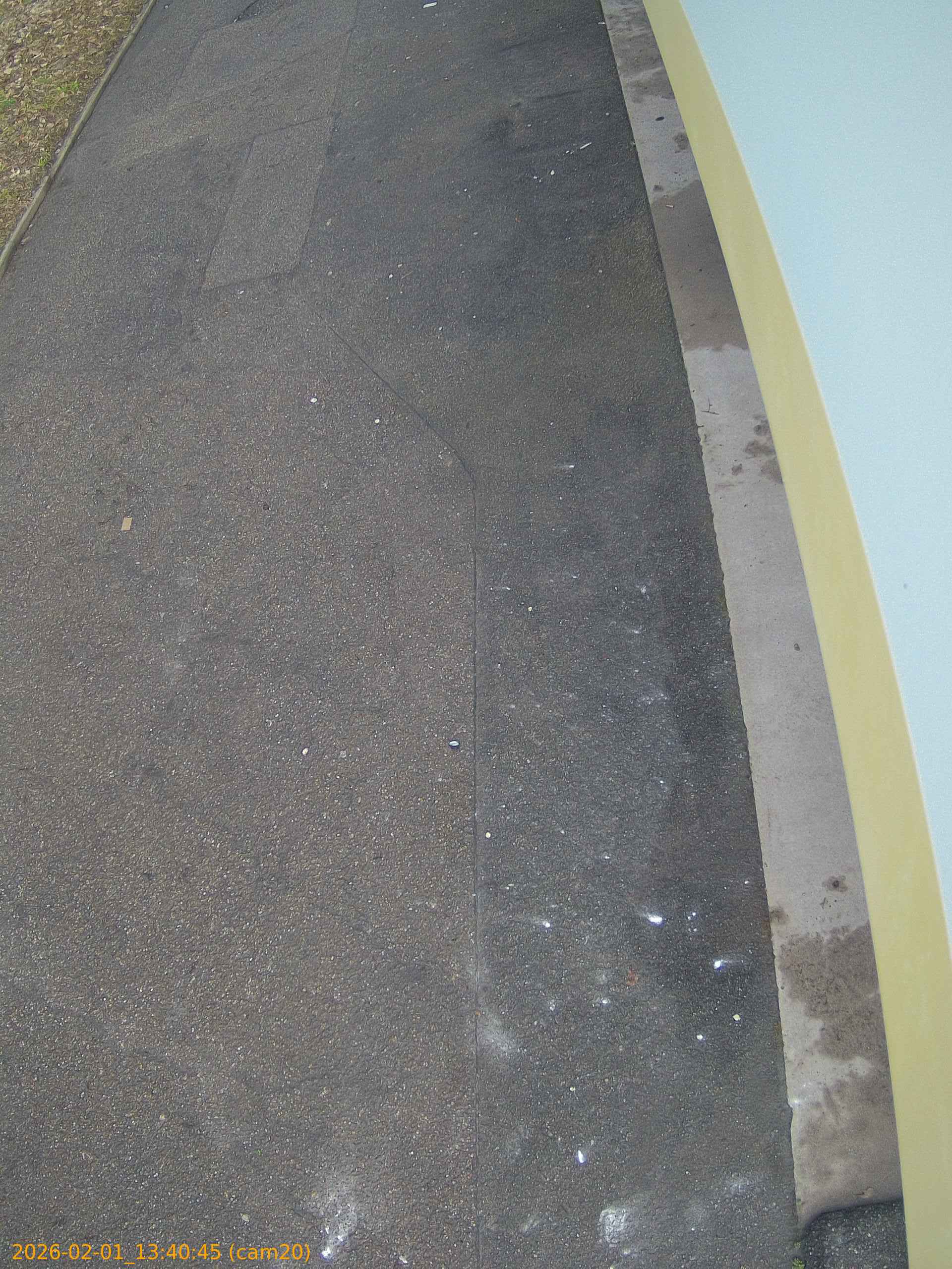 thumbnail_20260201134045