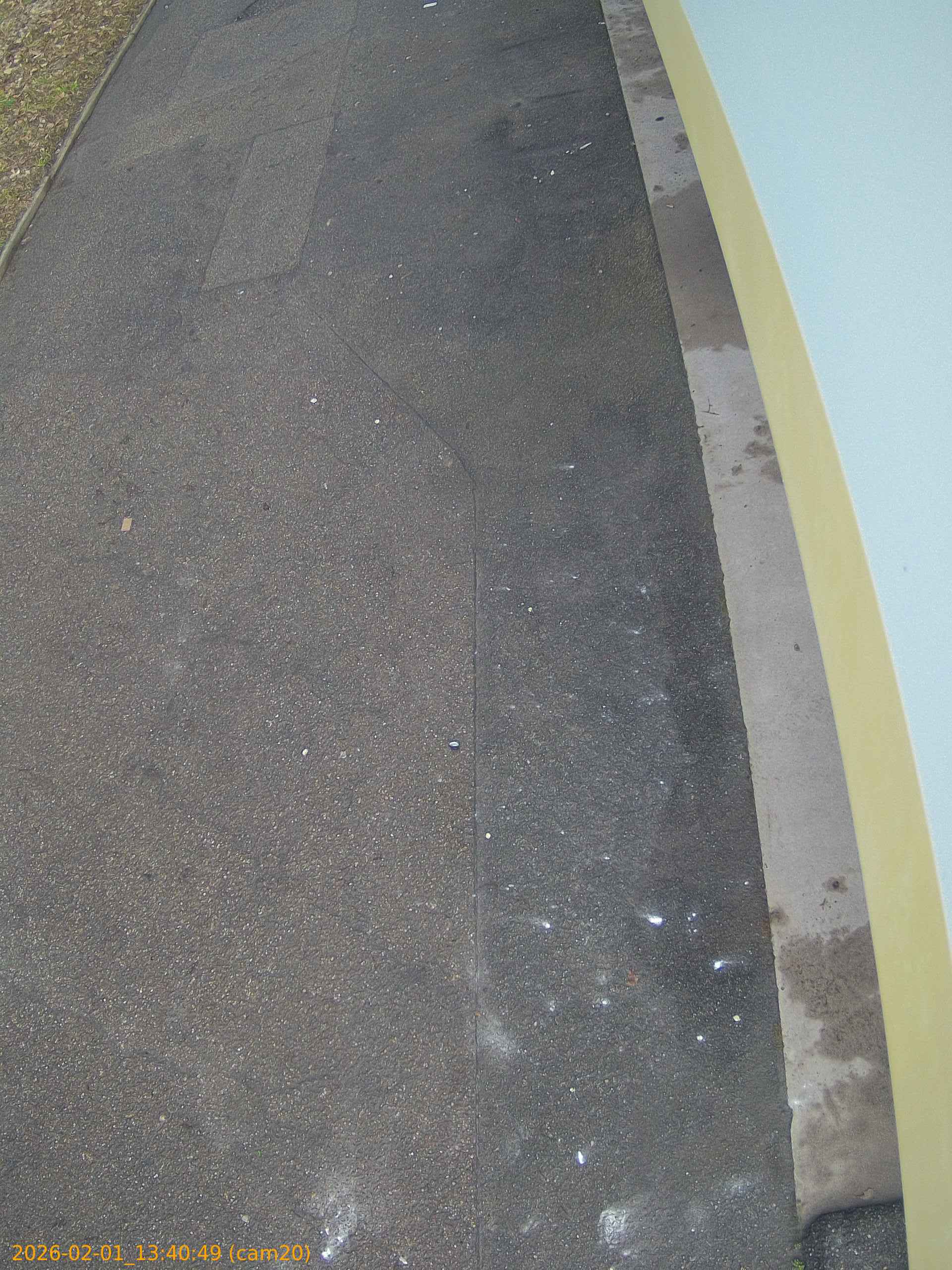 thumbnail_20260201134049