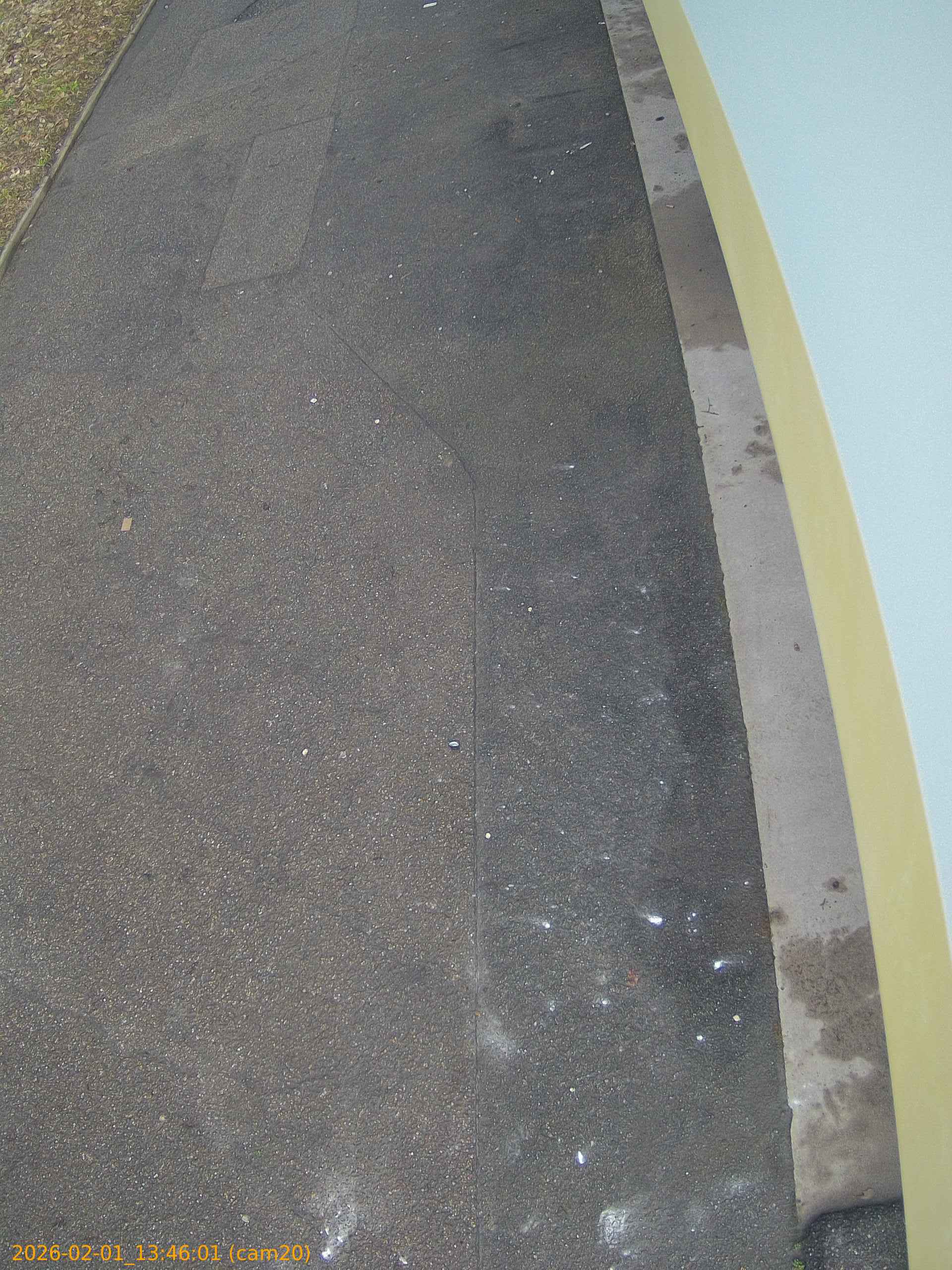 thumbnail_20260201134601