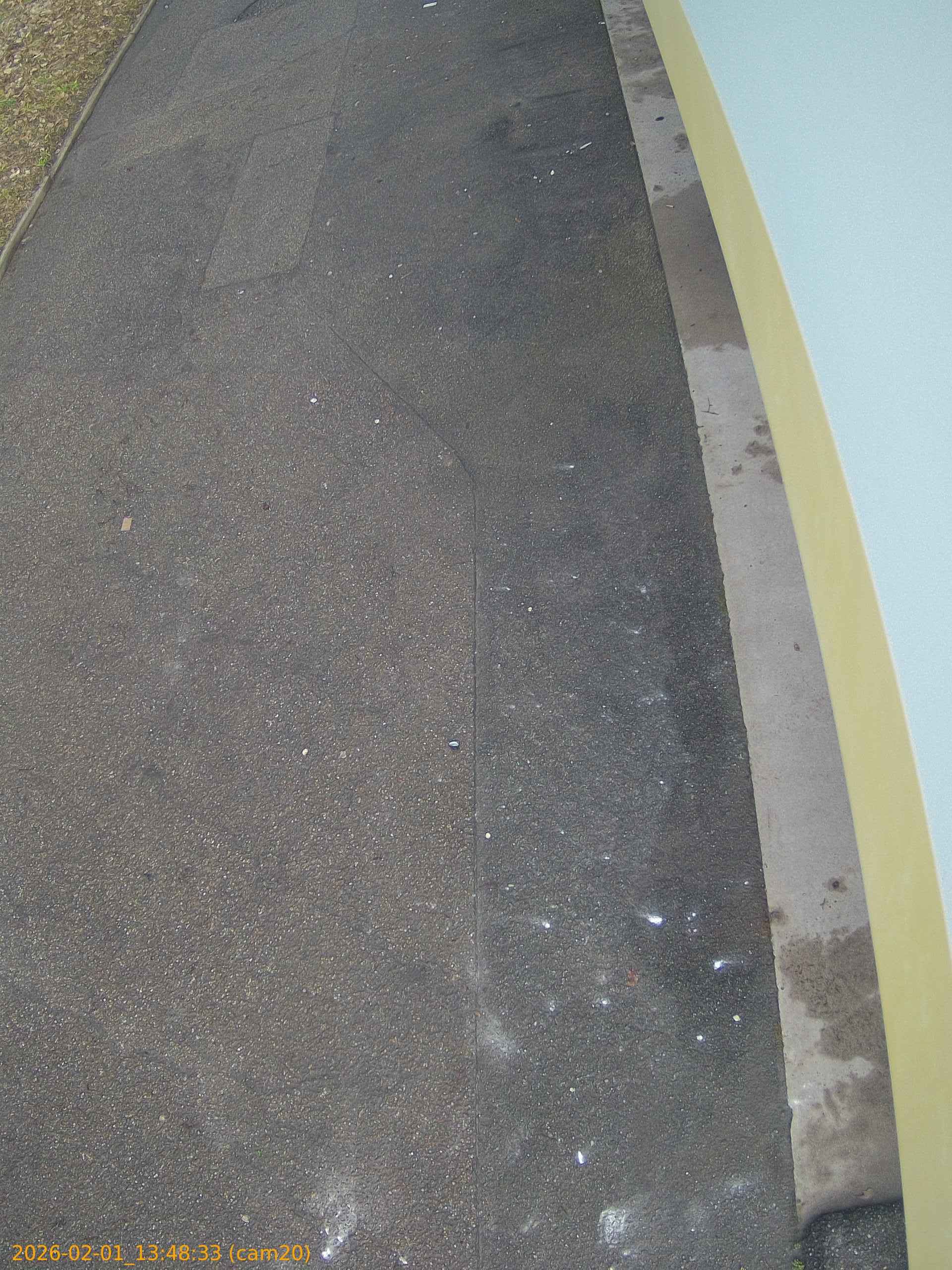 thumbnail_20260201134833