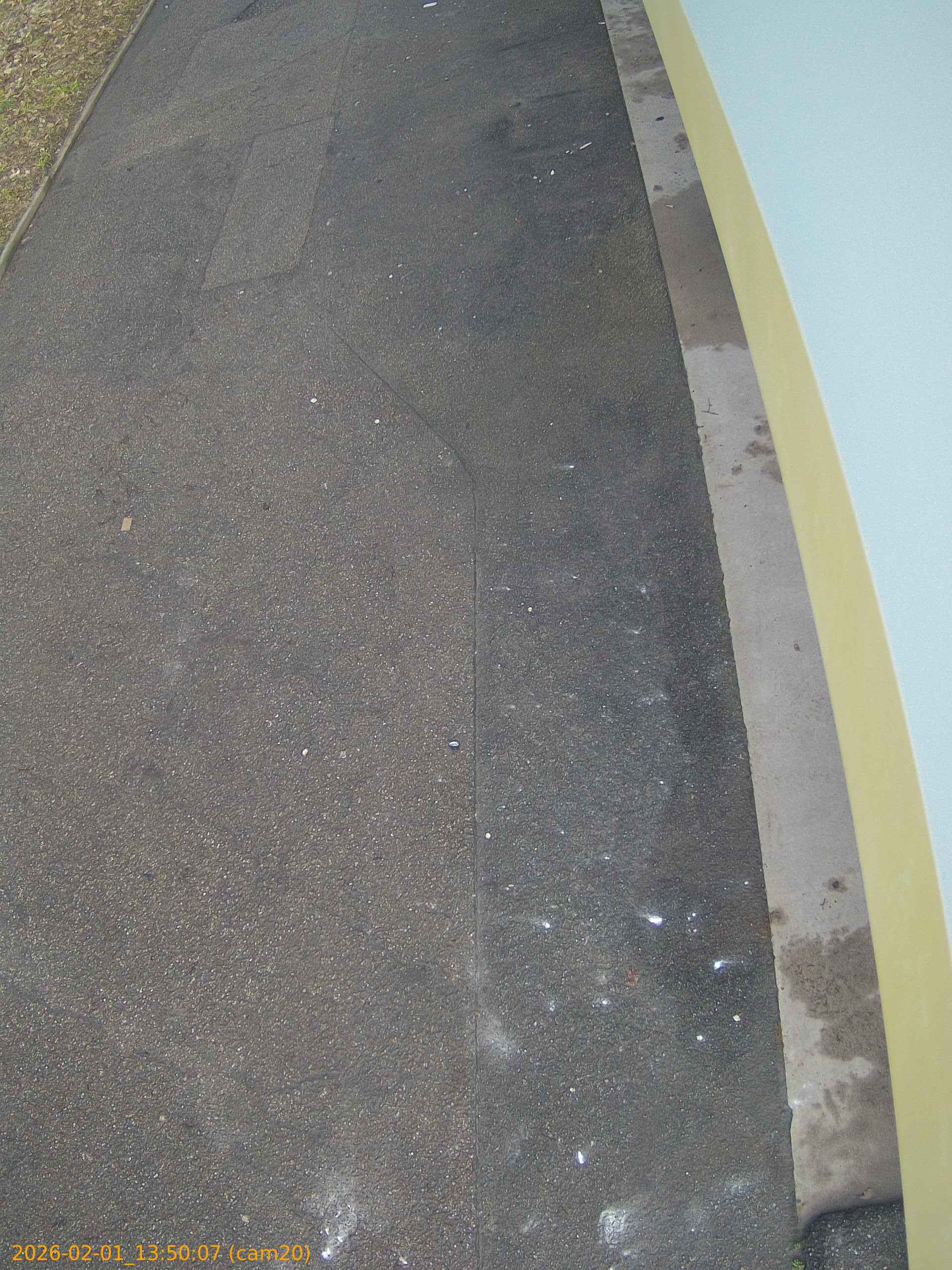 thumbnail_20260201135007