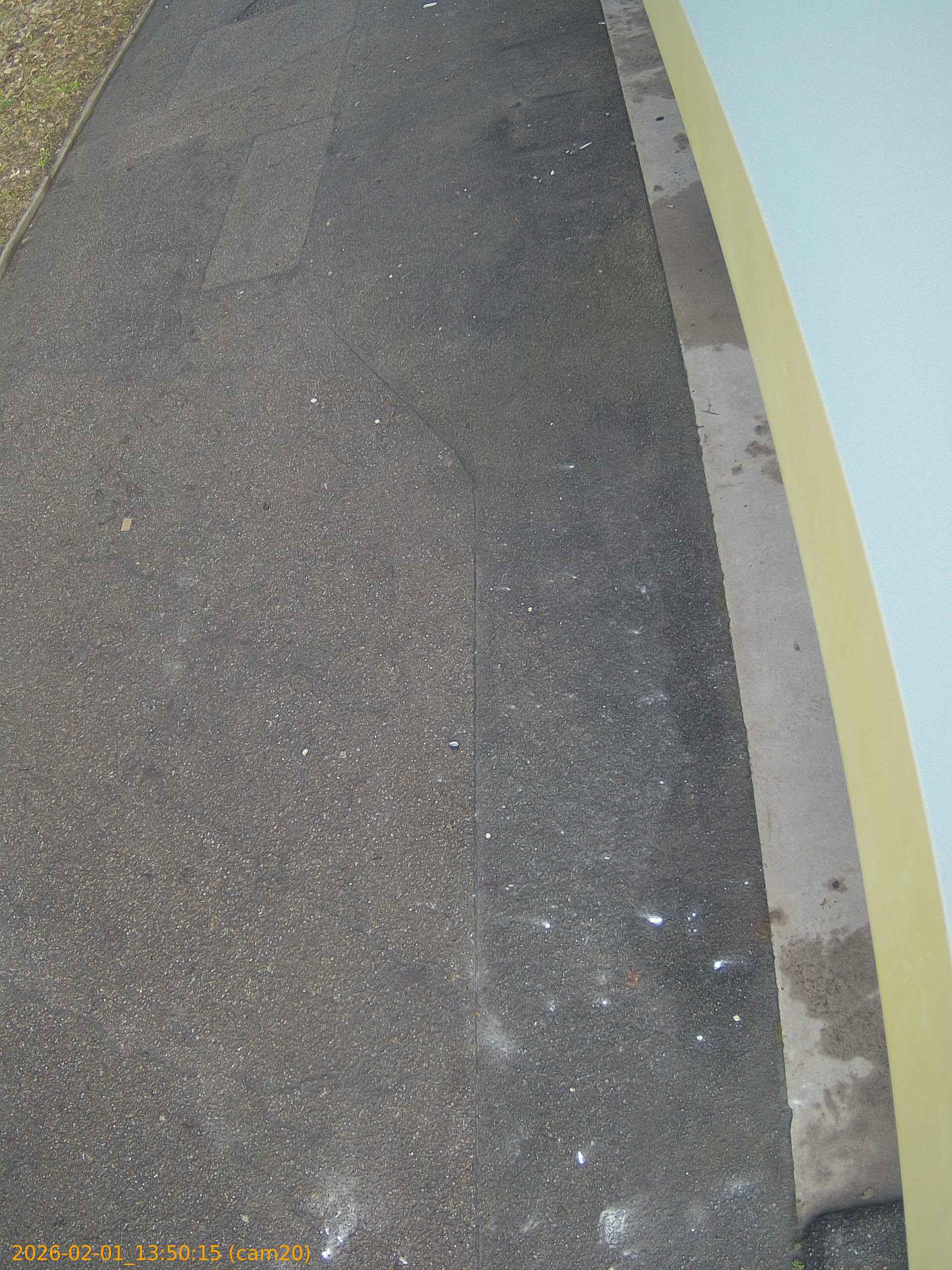 thumbnail_20260201135015