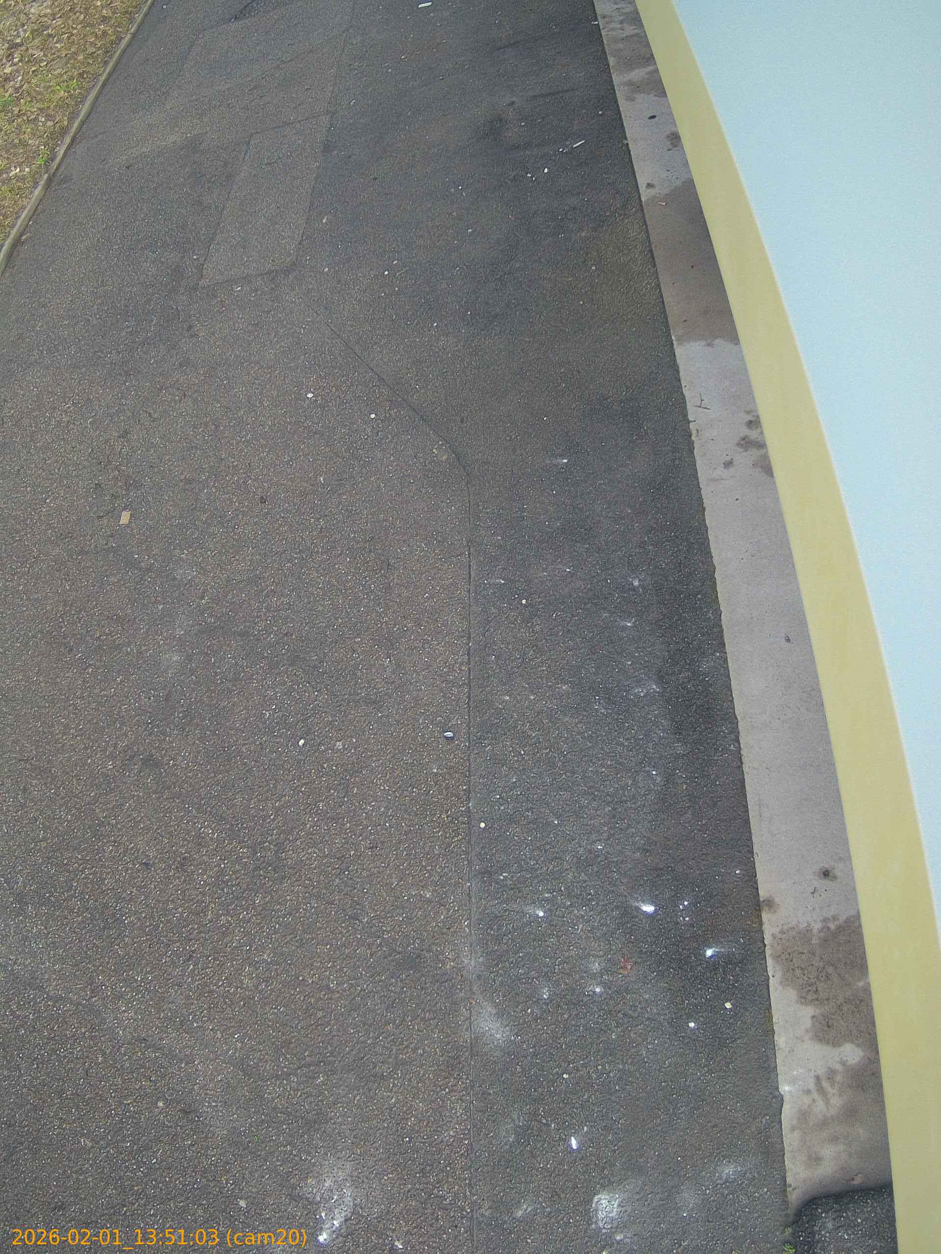 thumbnail_20260201135103