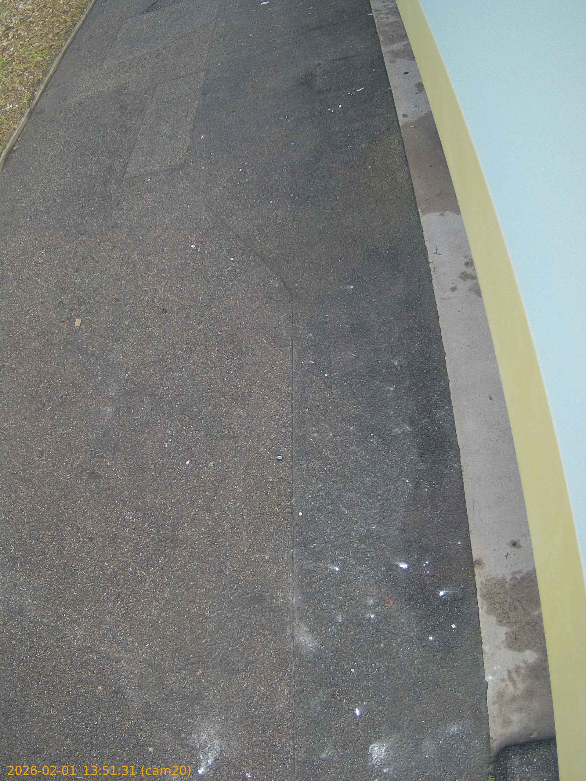 thumbnail_20260201135131