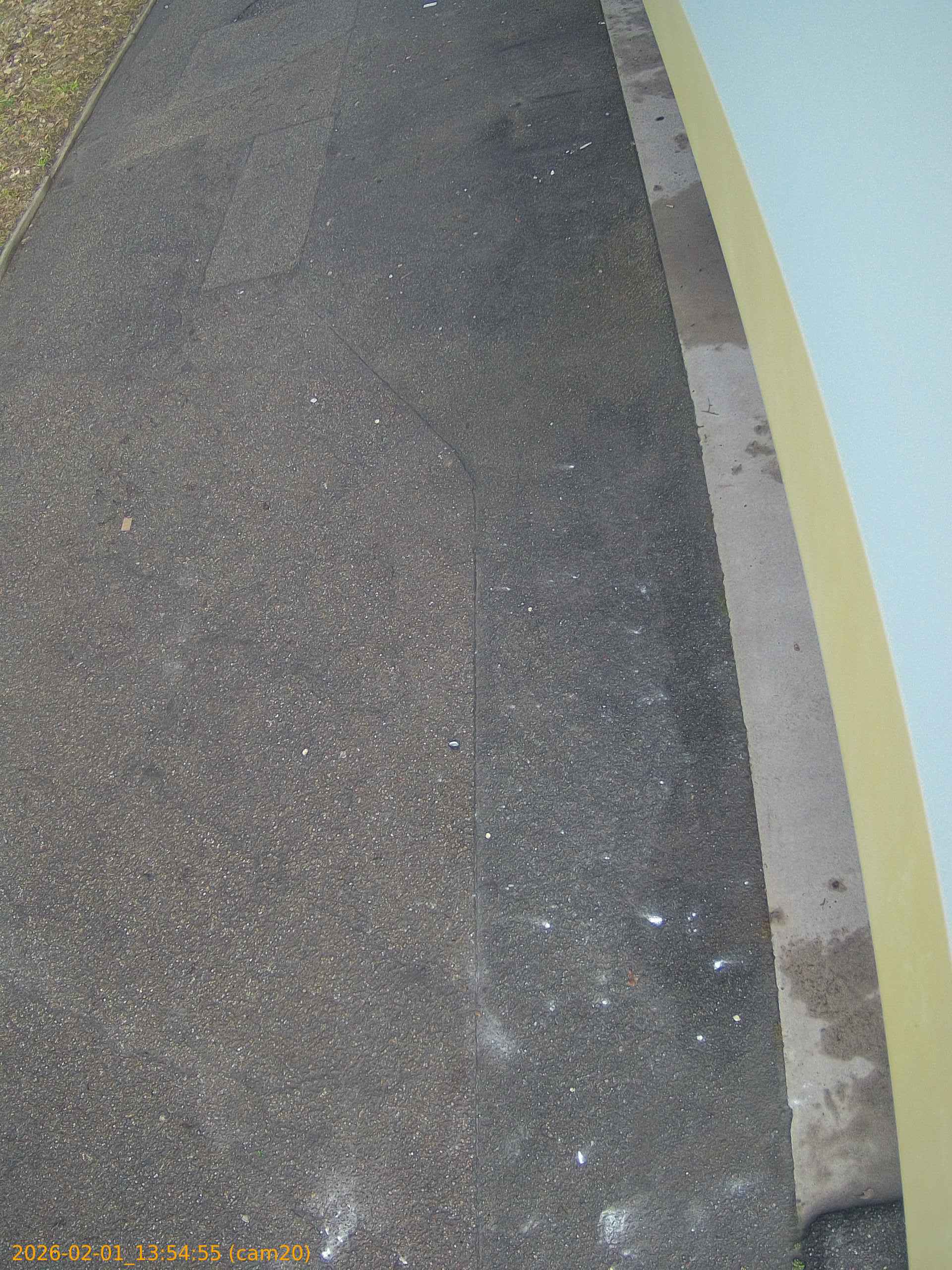 thumbnail_20260201135455