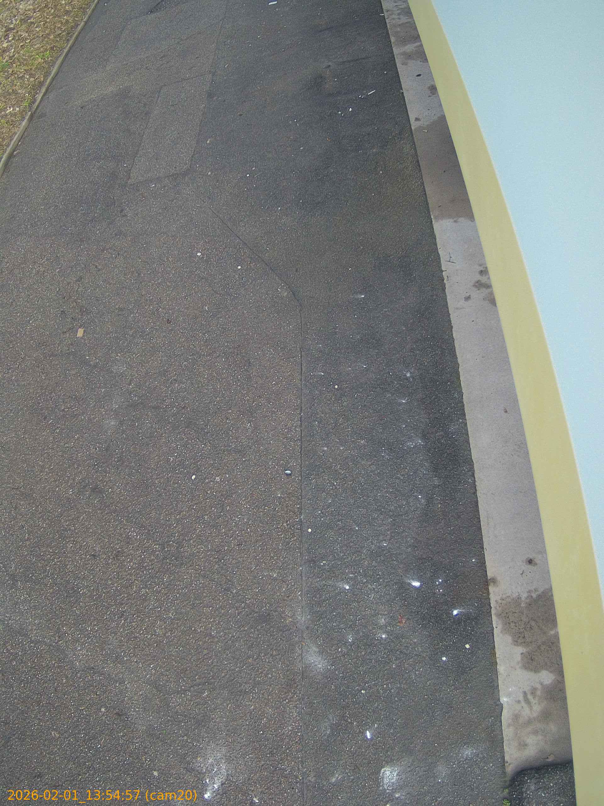 thumbnail_20260201135457