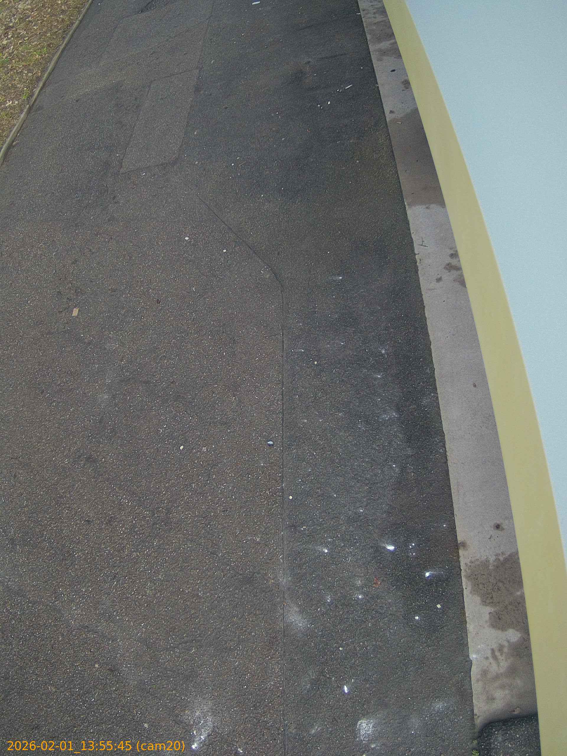 thumbnail_20260201135545