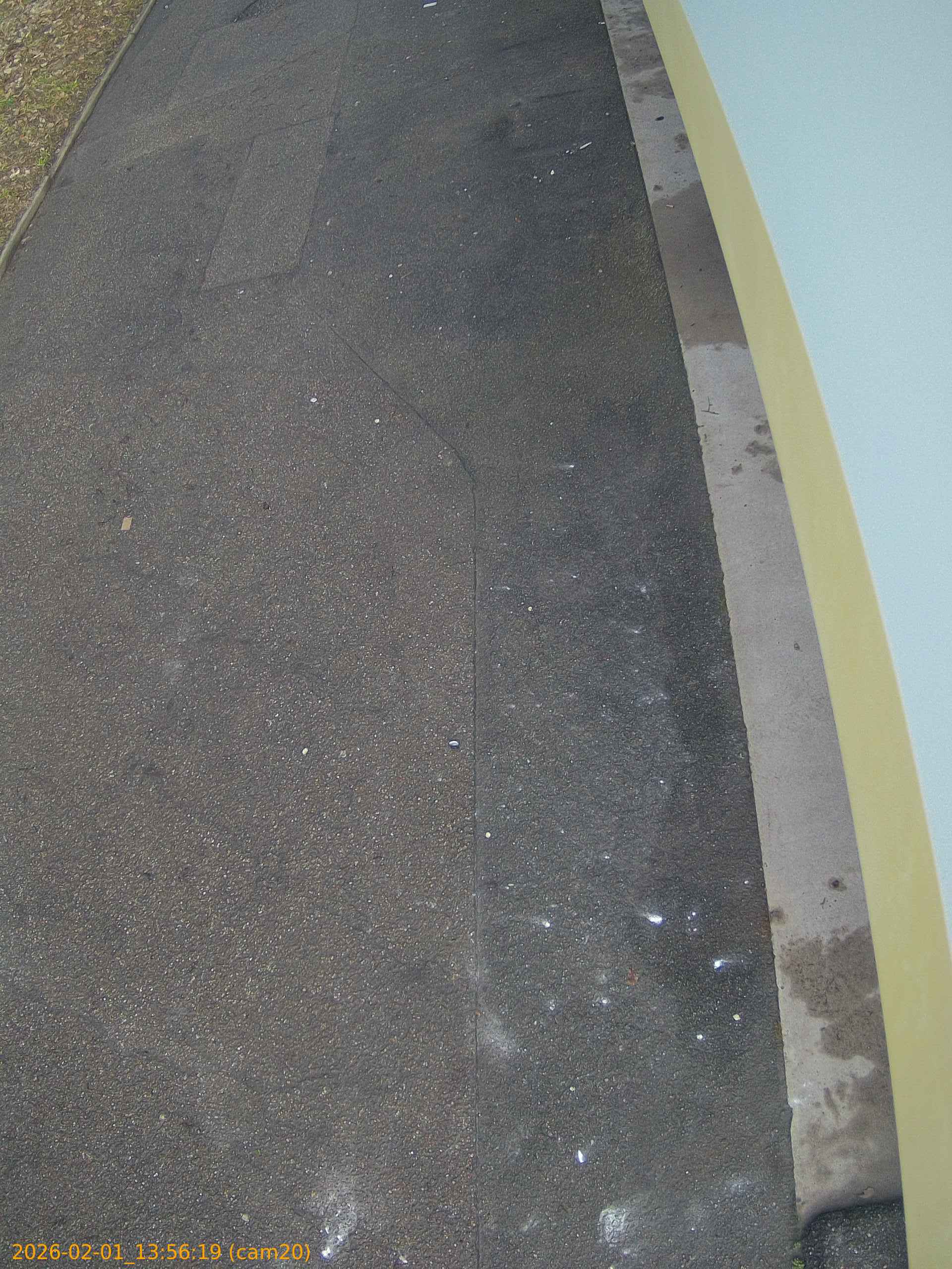 thumbnail_20260201135619