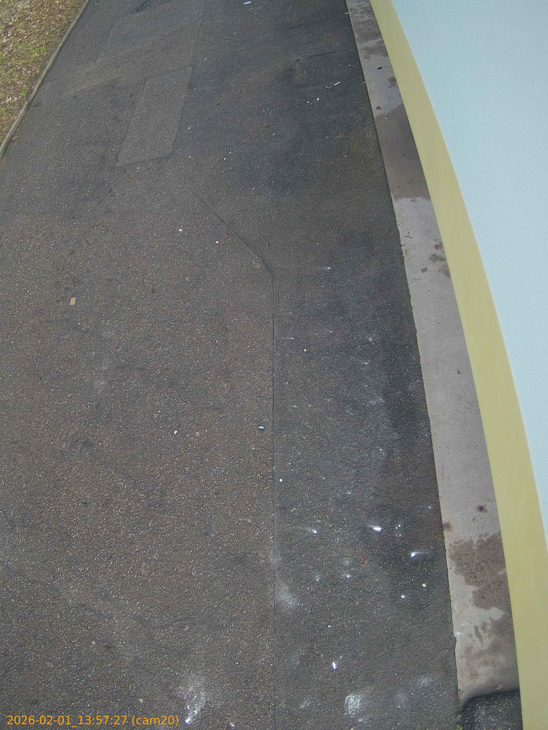 thumbnail_20260201135727